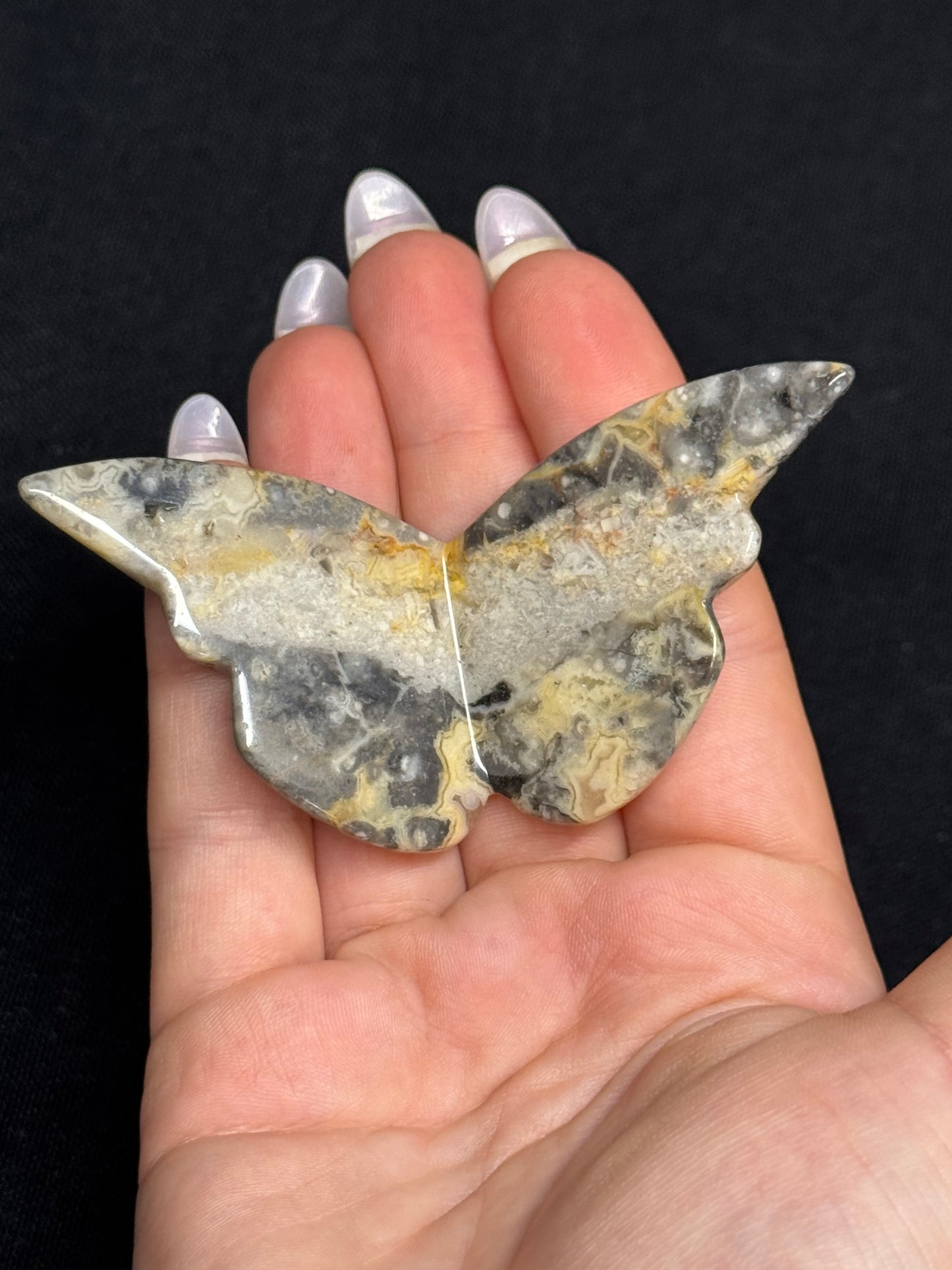 Crazy lace agate butterfly