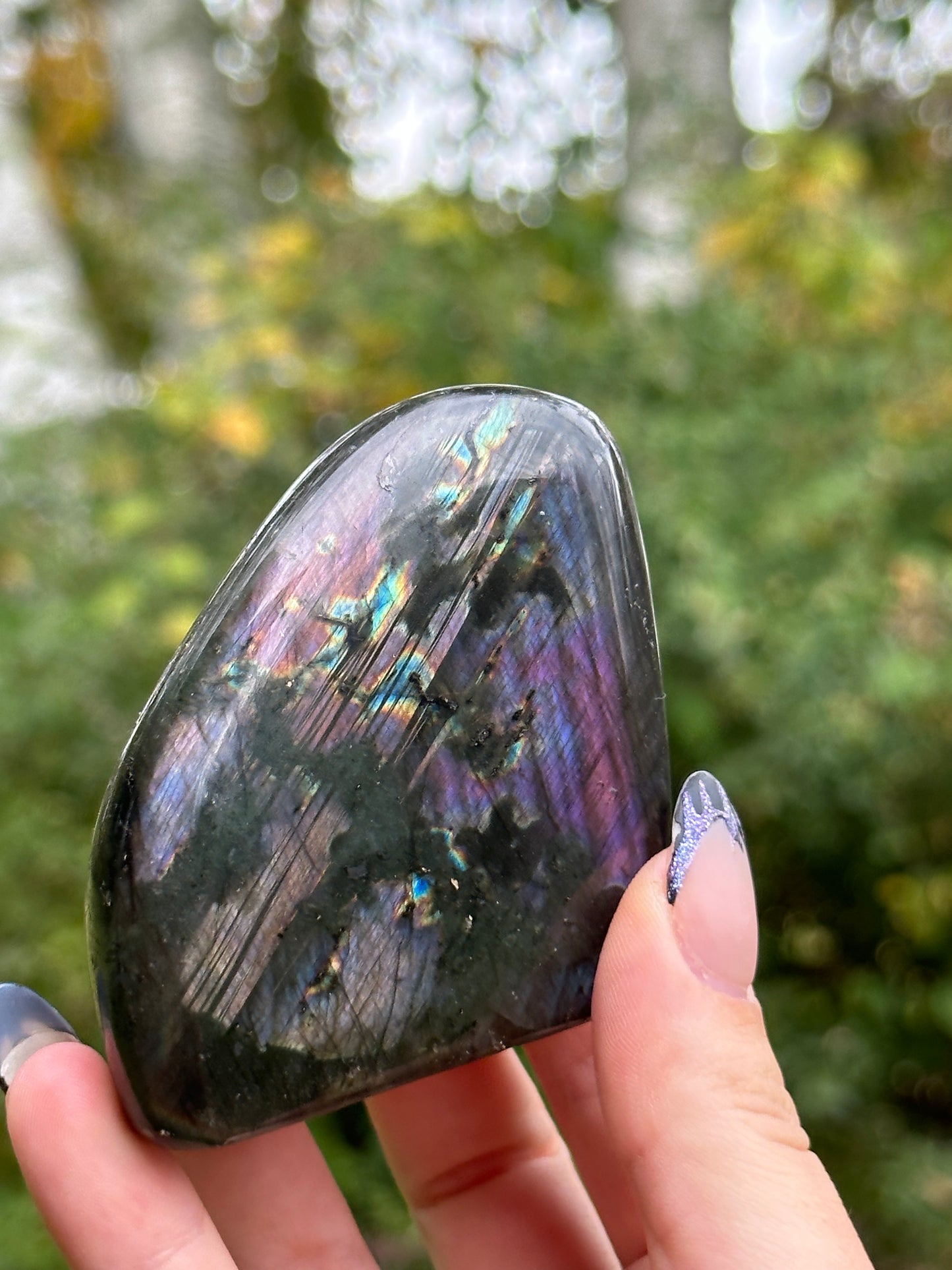 Labradorite Freeform