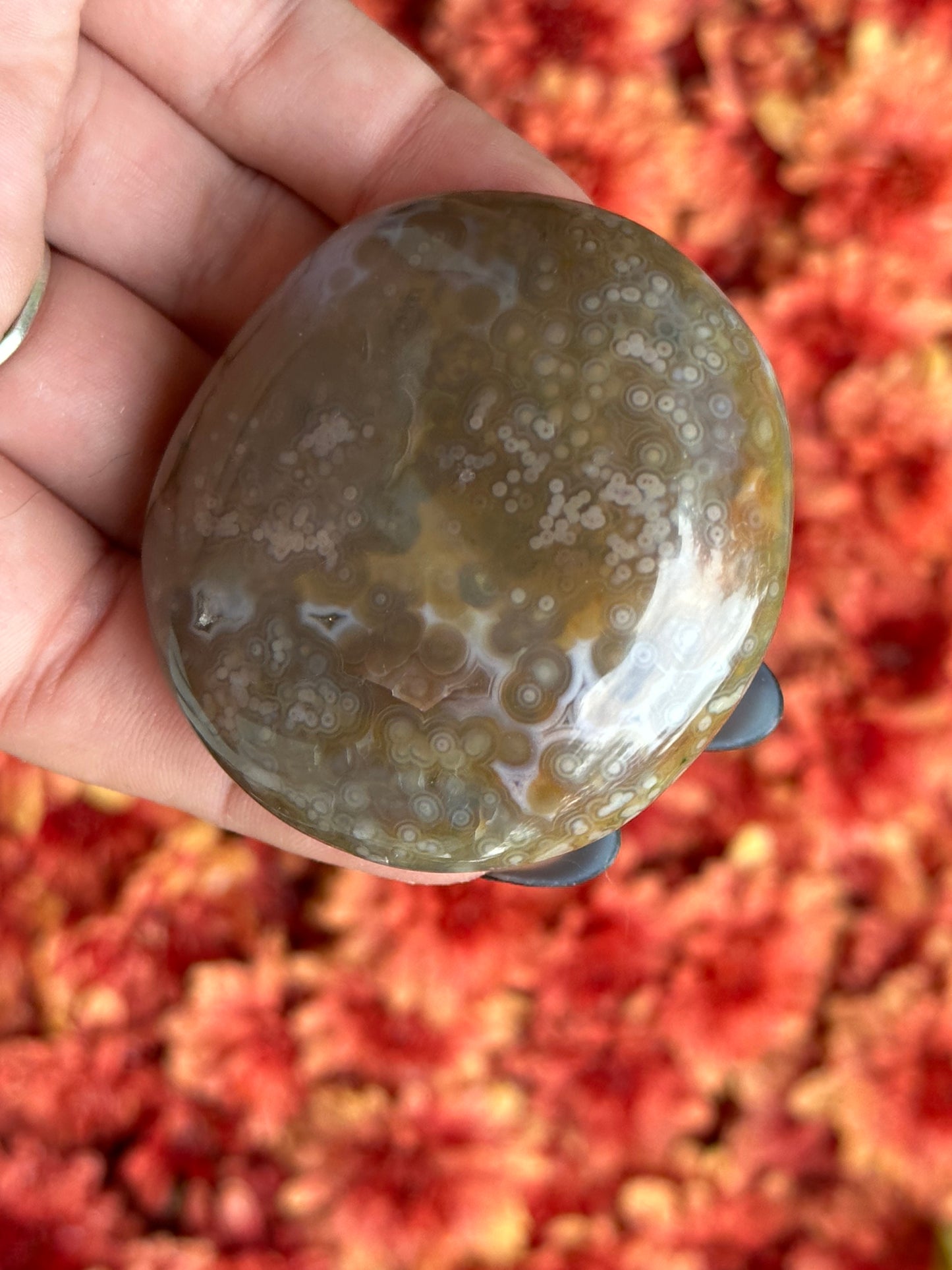 Ocean Jasper Palmstone- 8th Vein