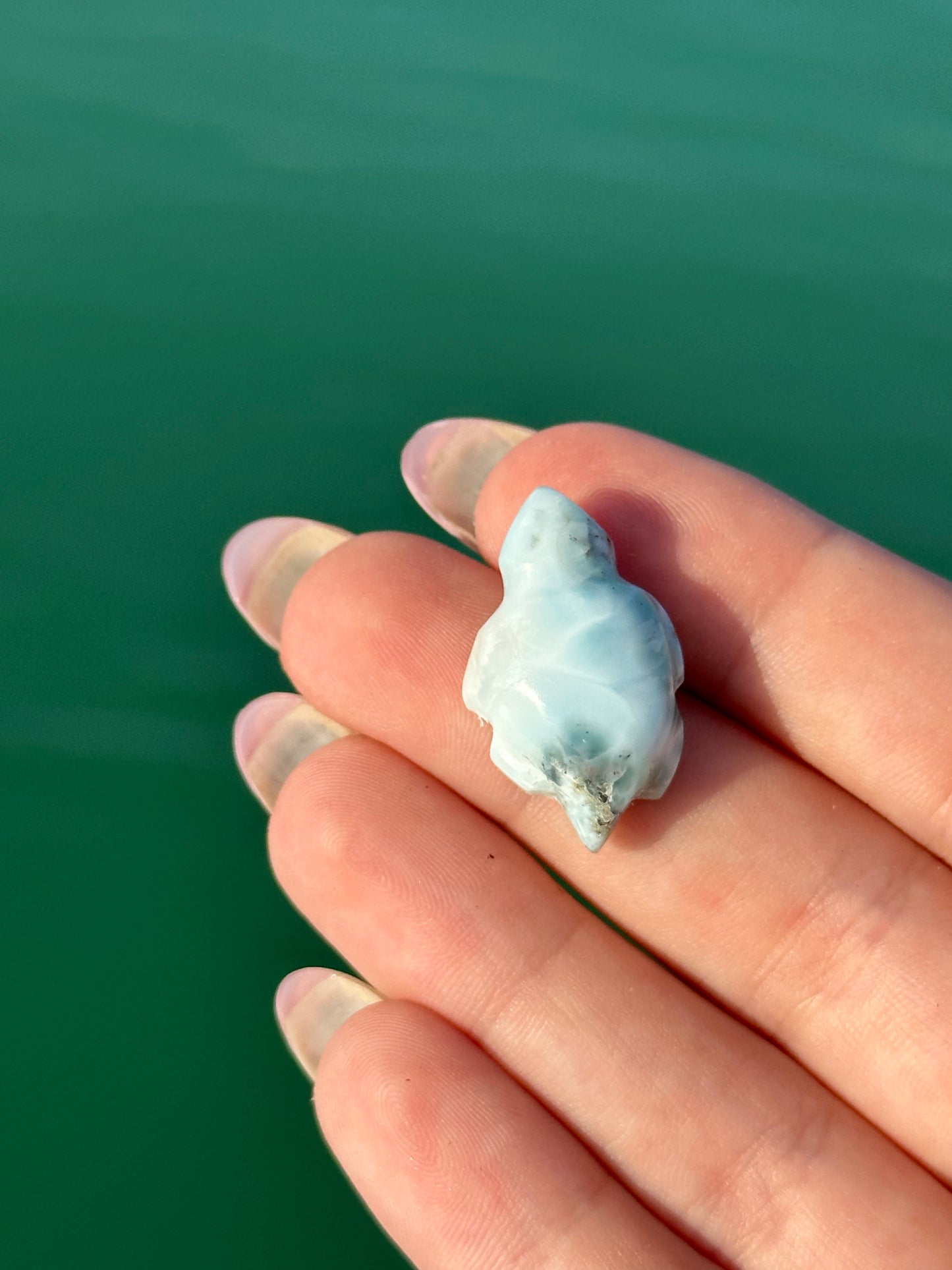 Larimar turtle