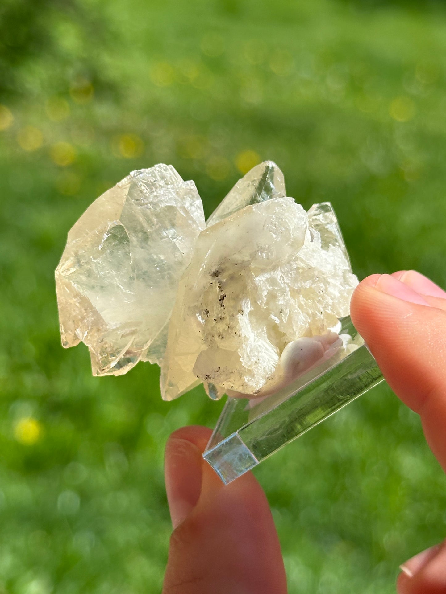 Elmwood calcite