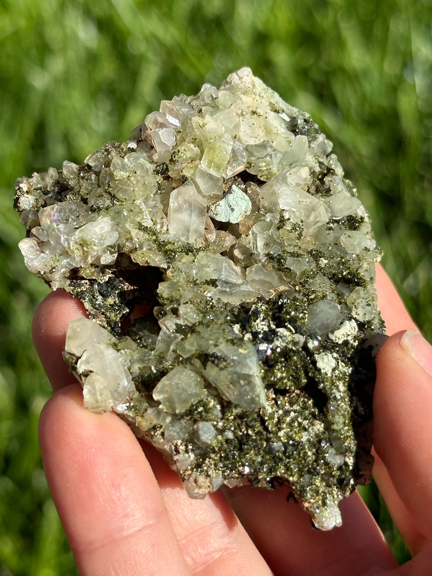 Forest Epidote