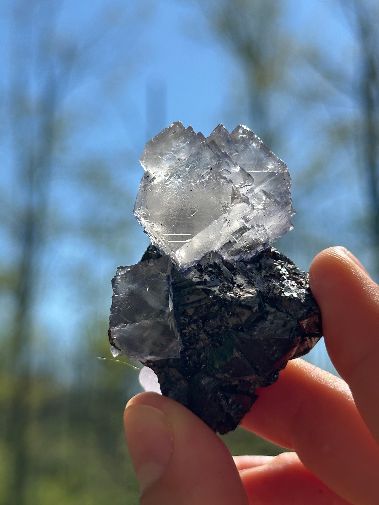 Elmwood fluorite on sphalerite