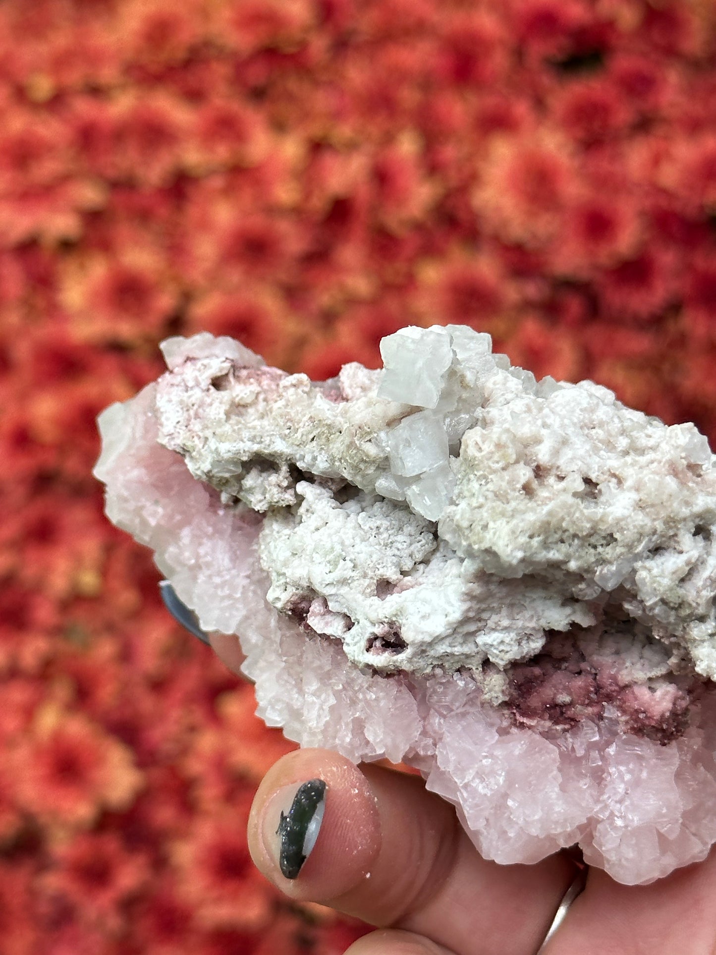Pink Halite