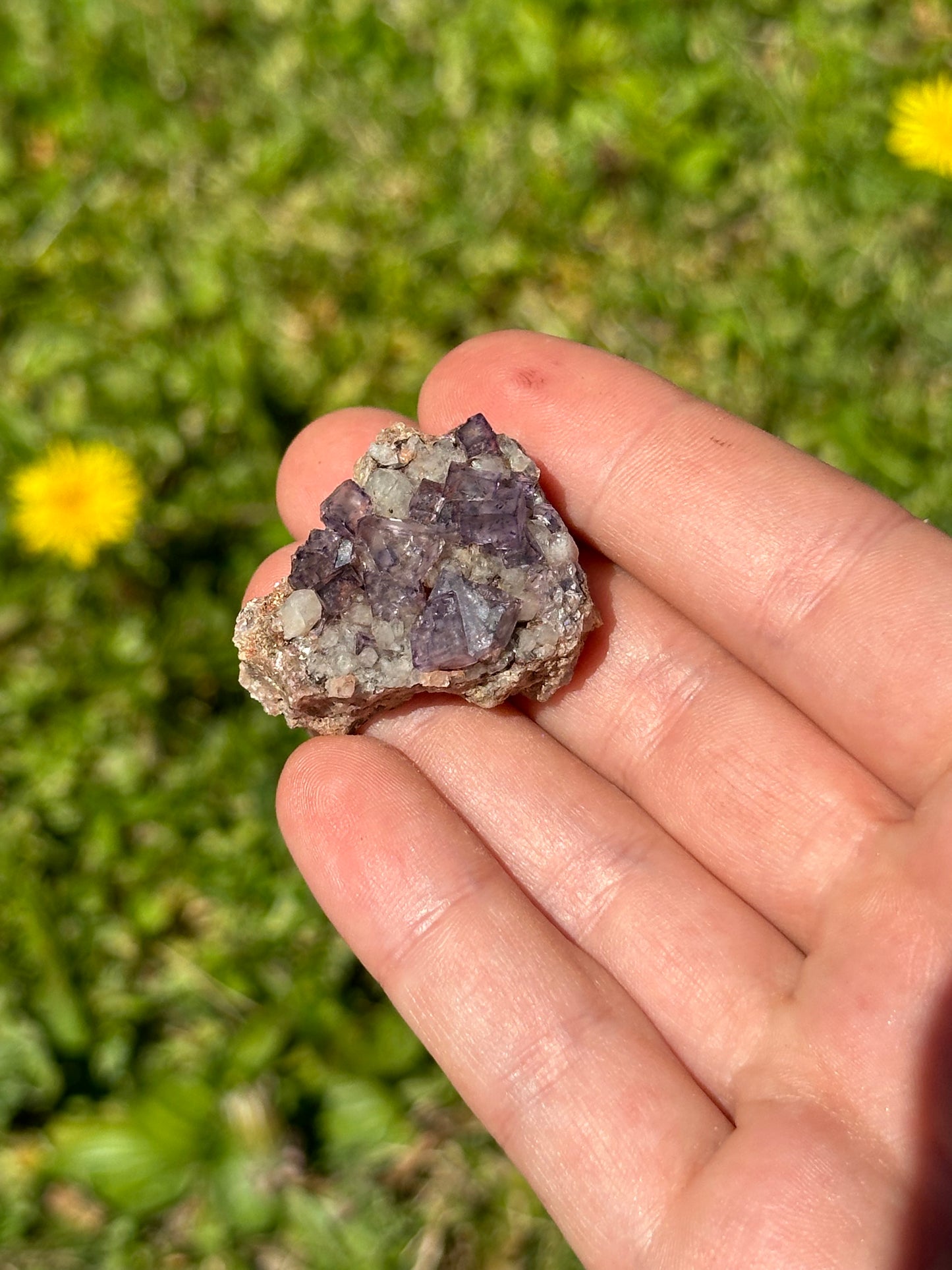 Colorado fluorite