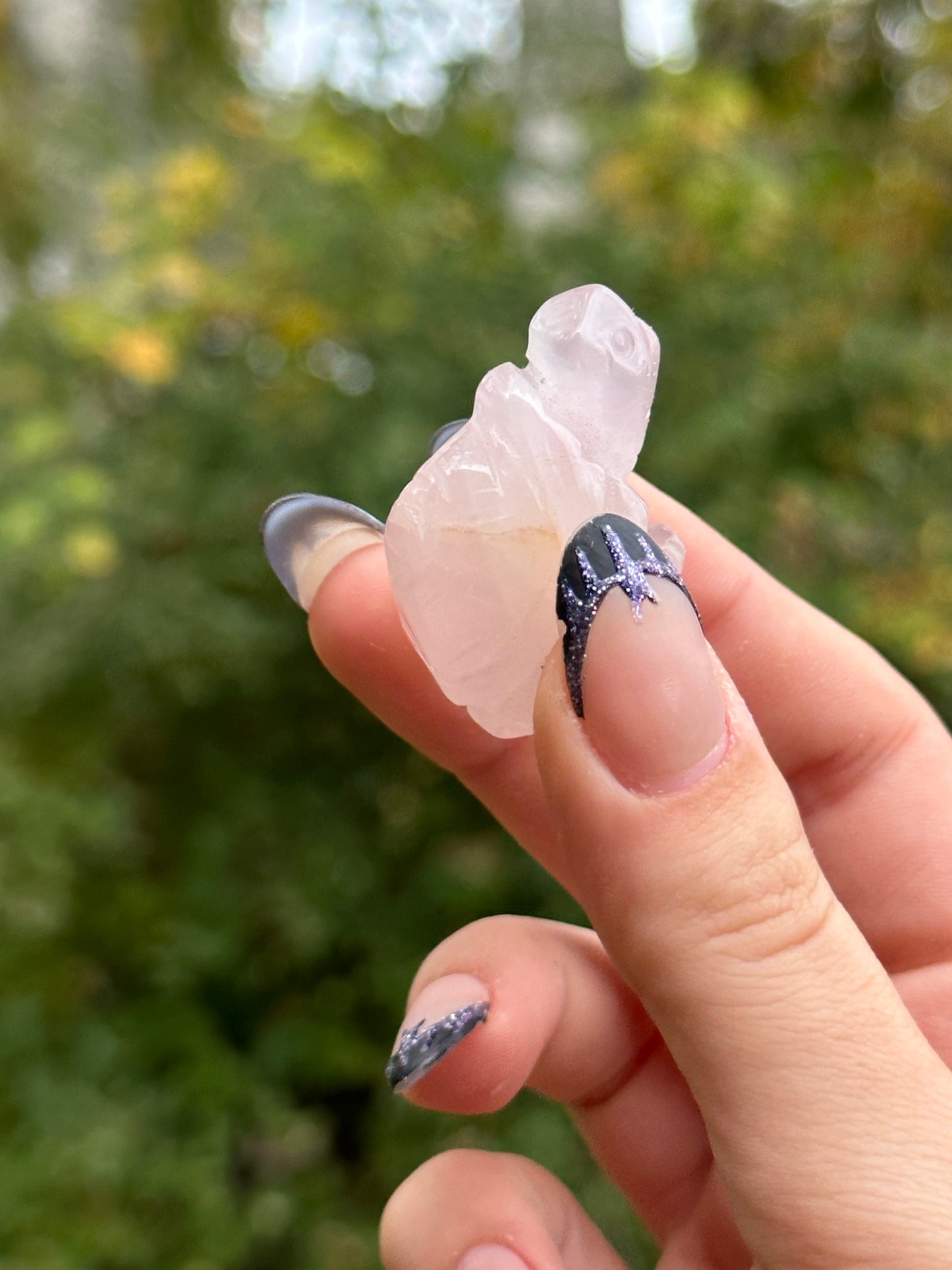 Rose Quartz Mini Turtle