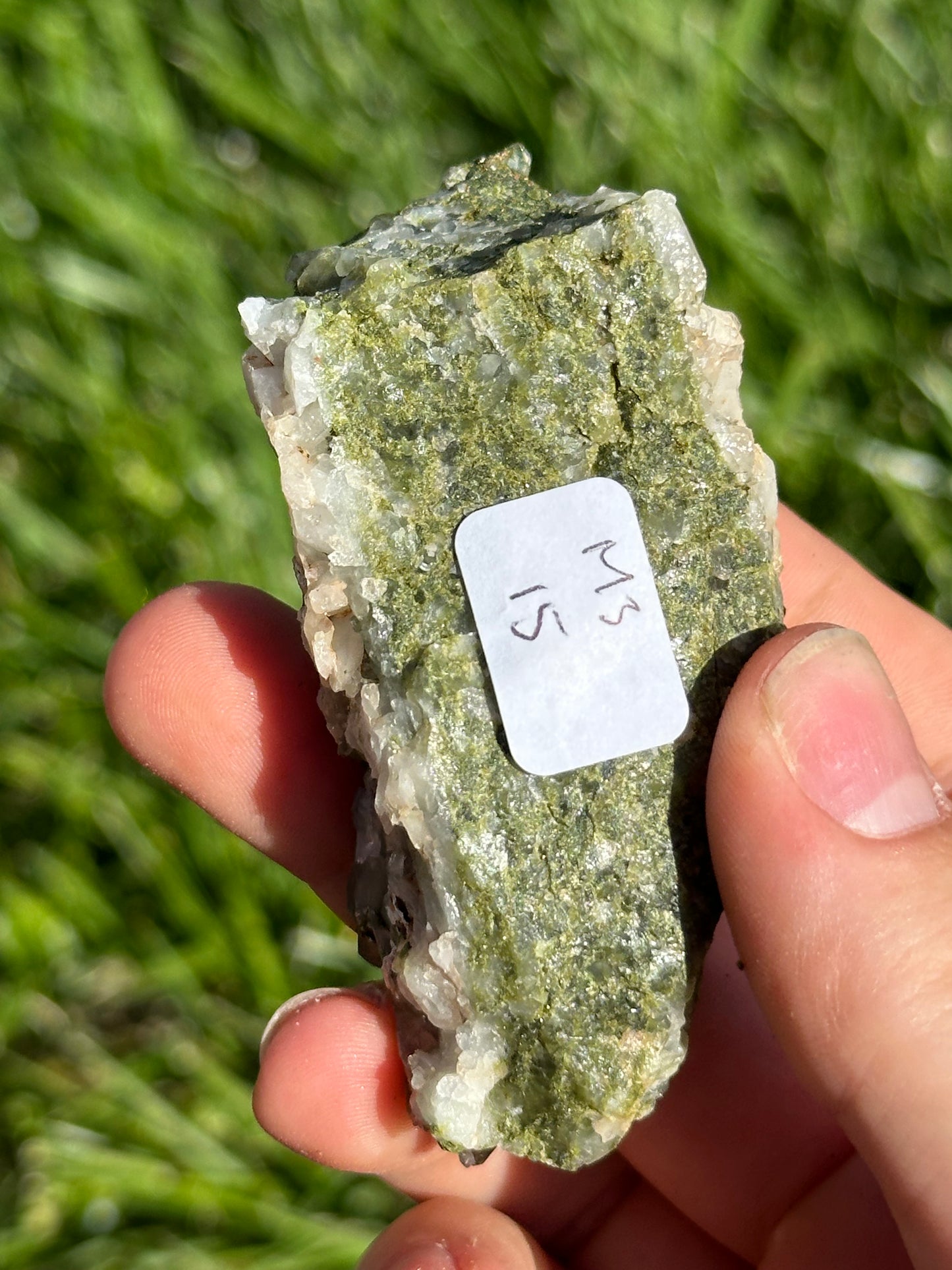 Forest Epidote
