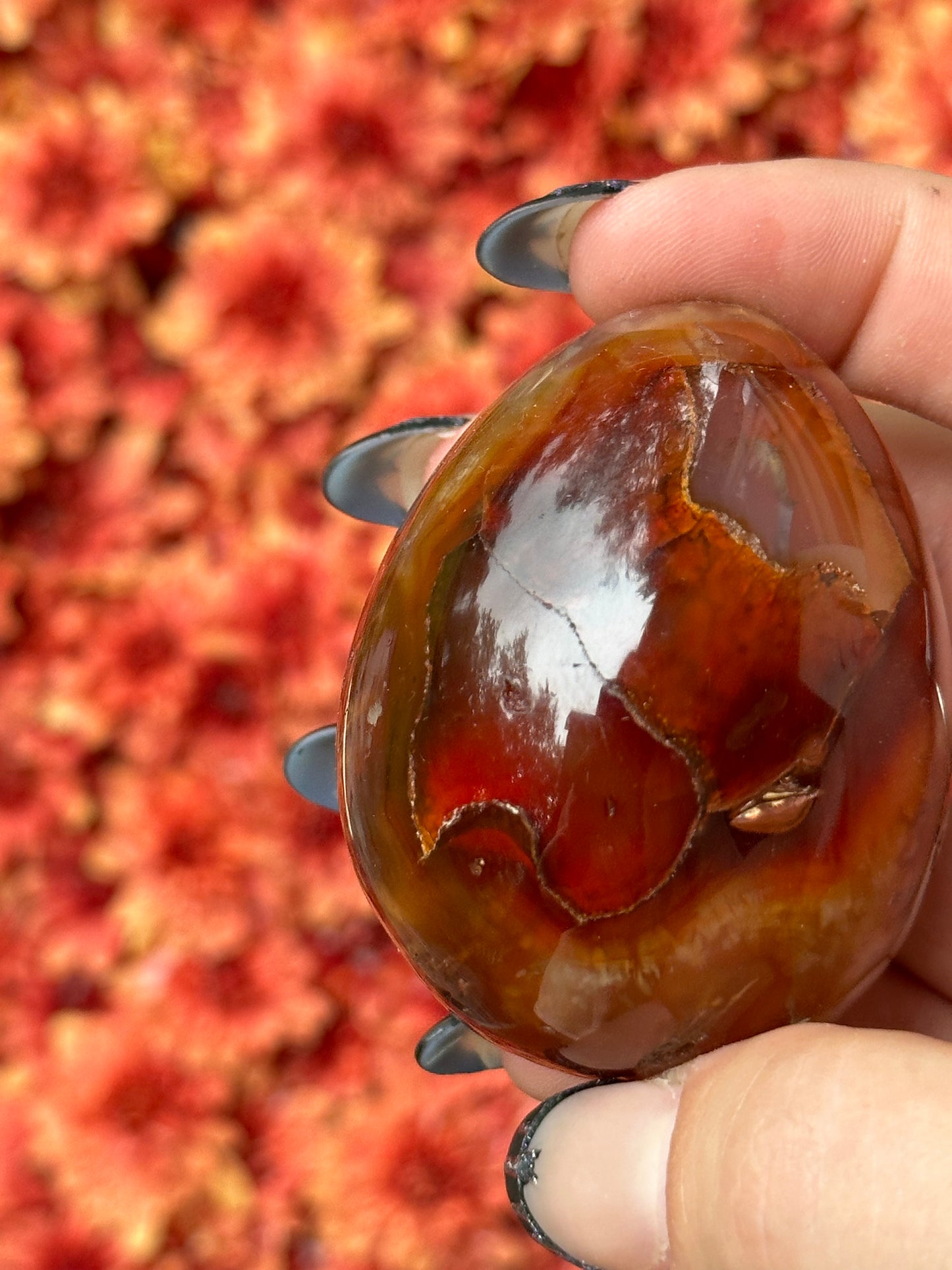 Carnelian Egg