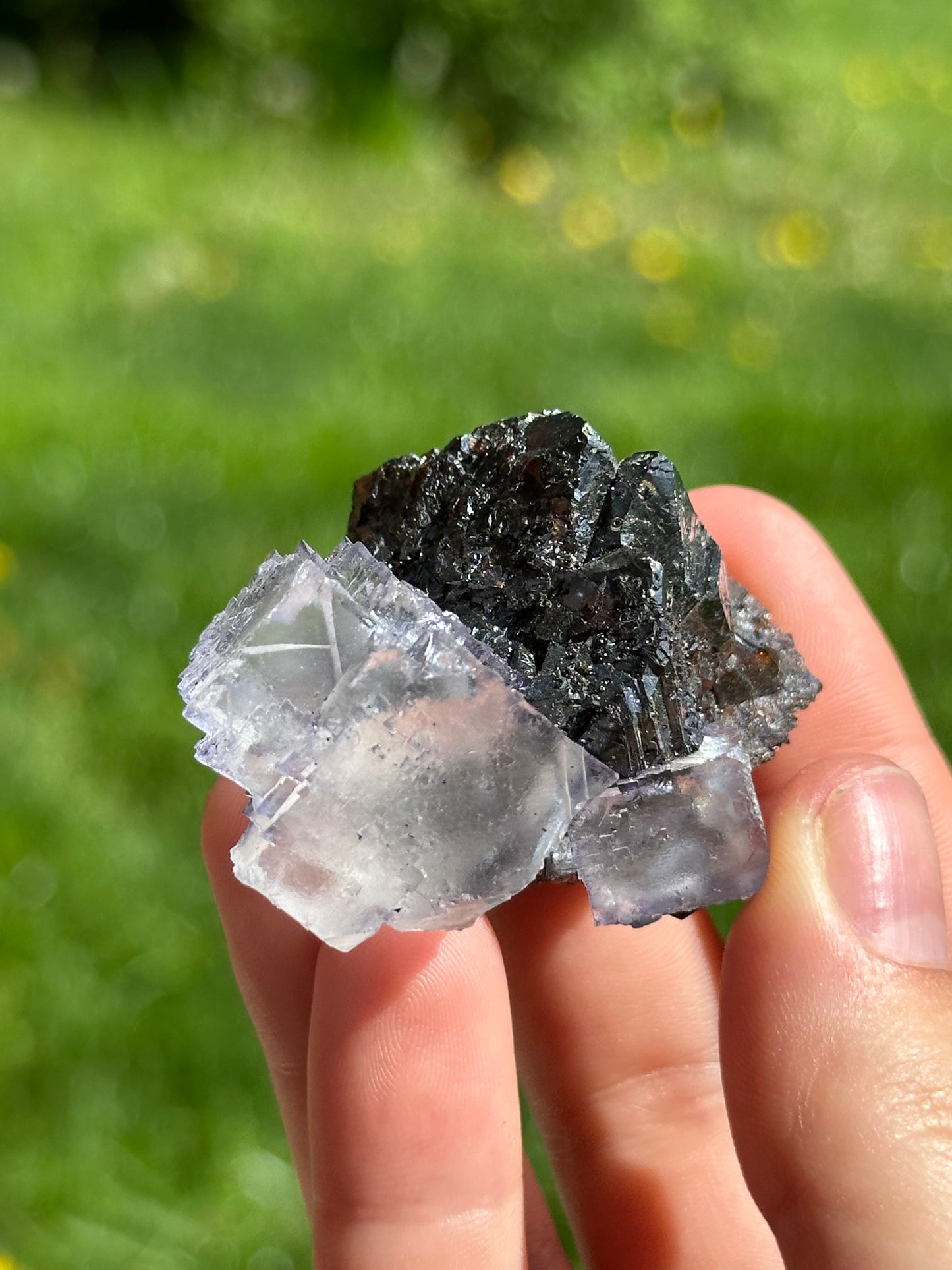 Elmwood fluorite on sphalerite