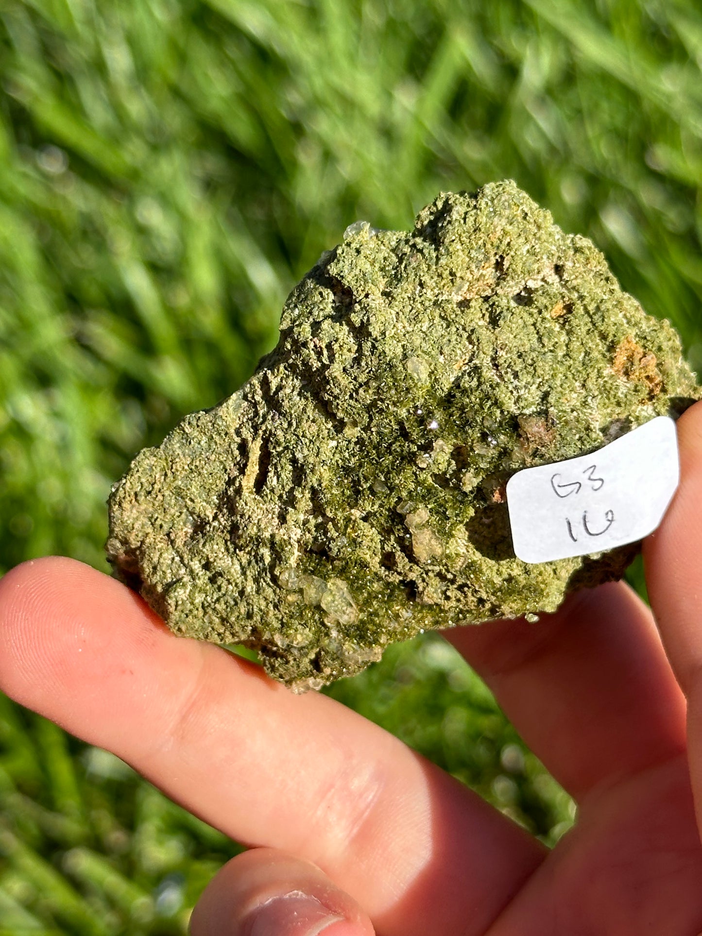Forest epidote