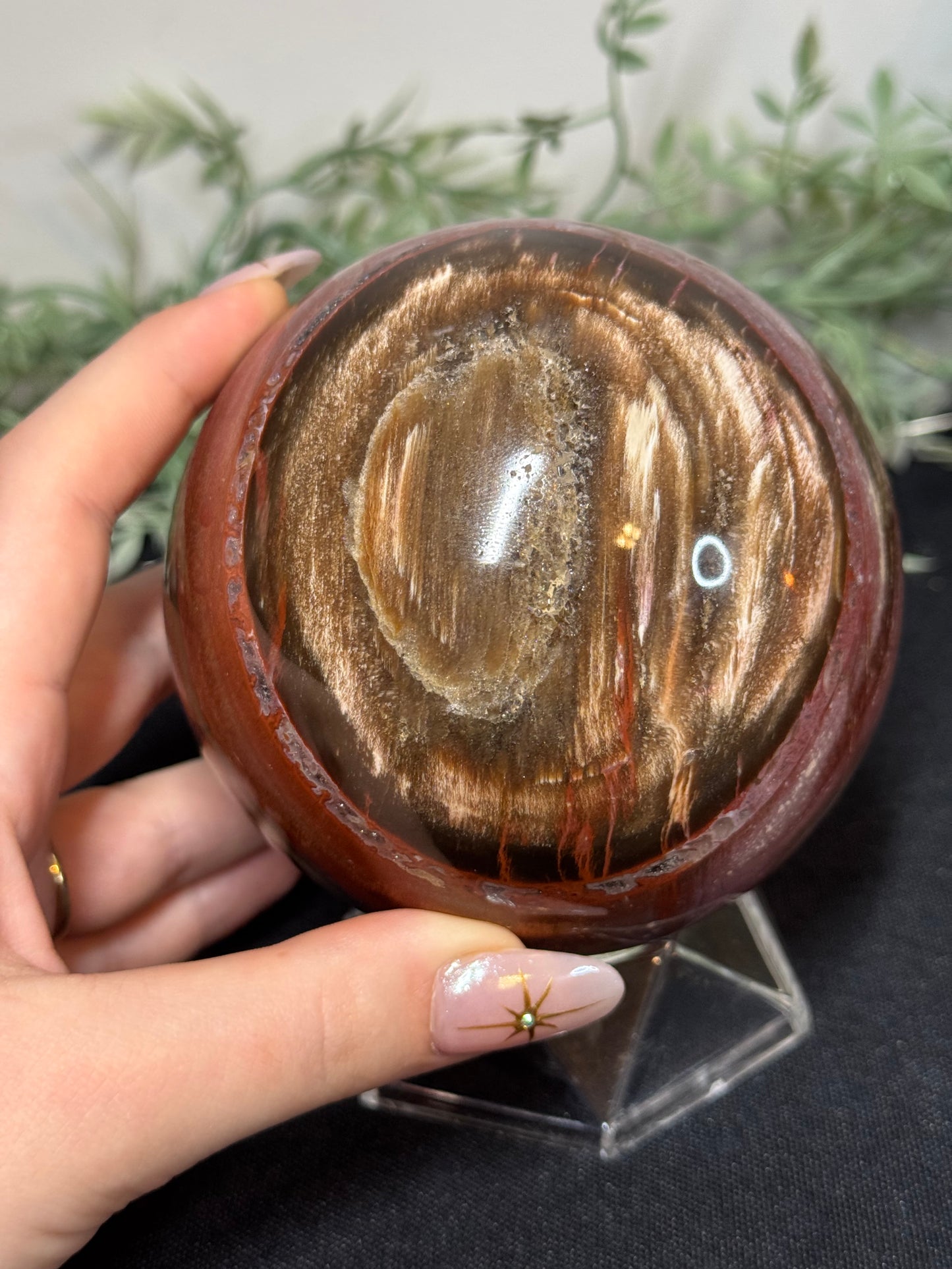 XL pink petrified wood sphere