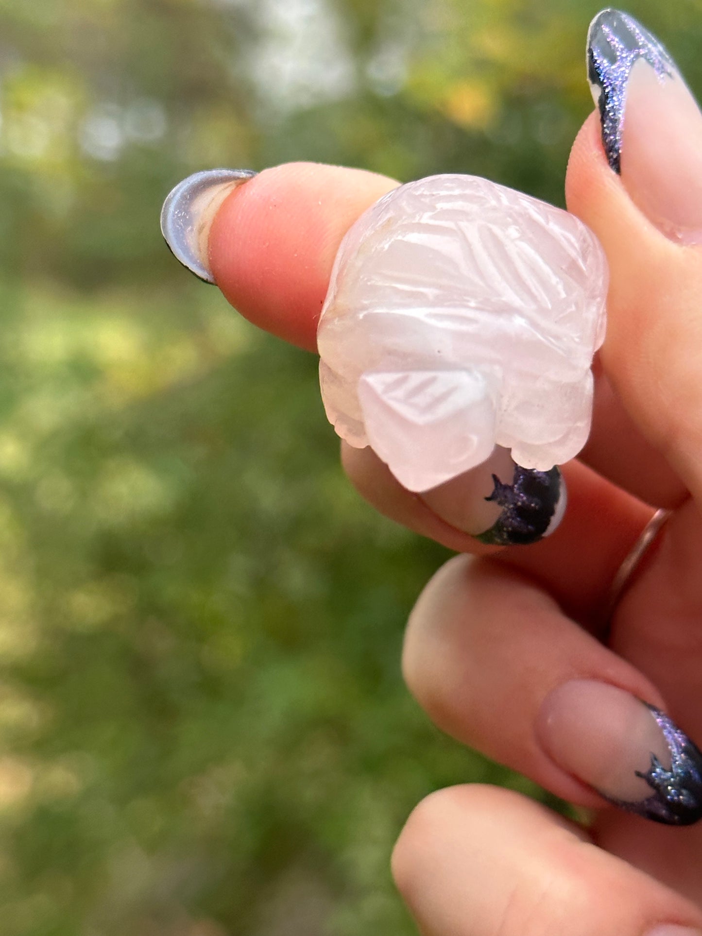 Rose Quartz Mini Turtle