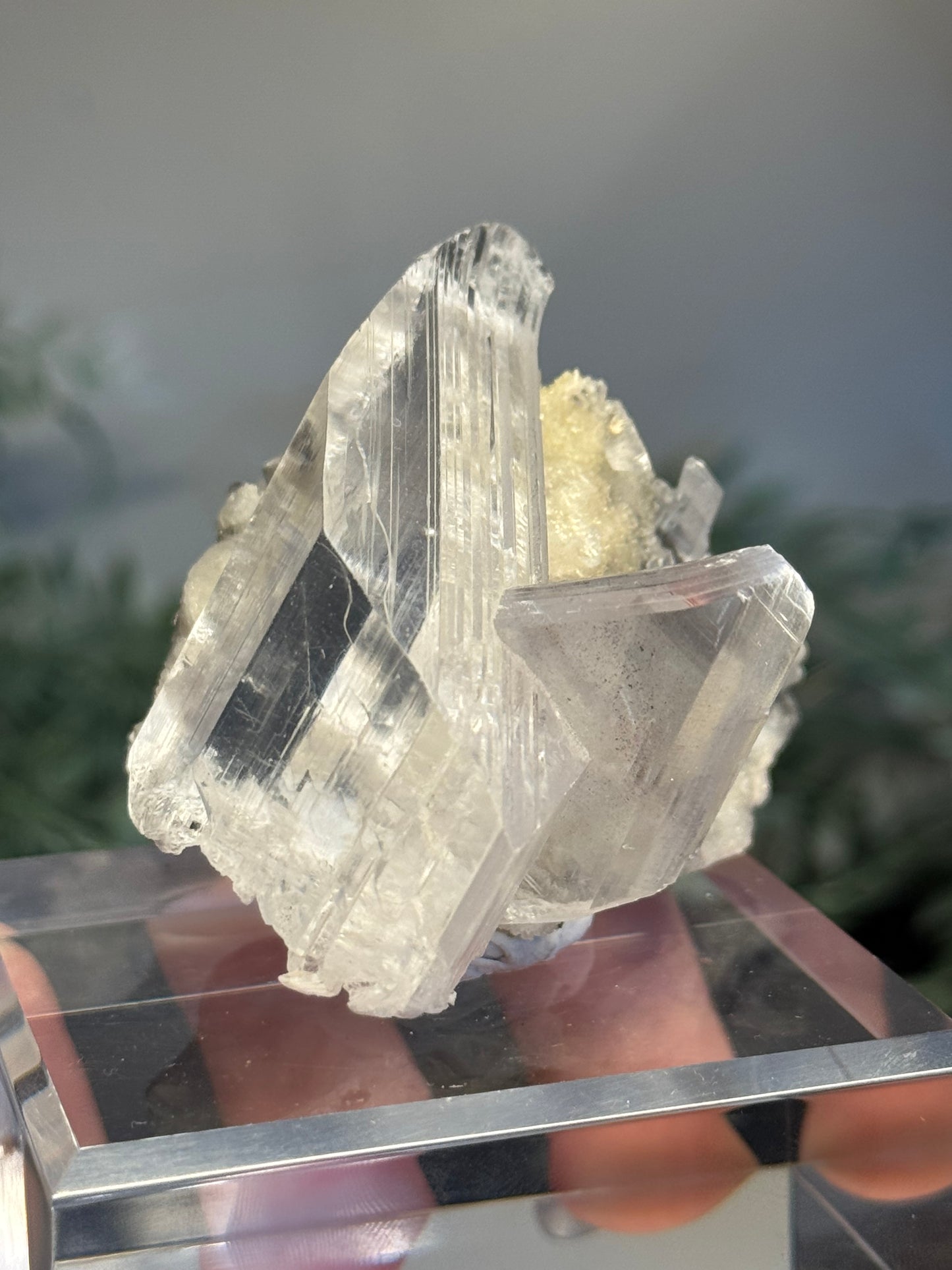 Niaca Selenite