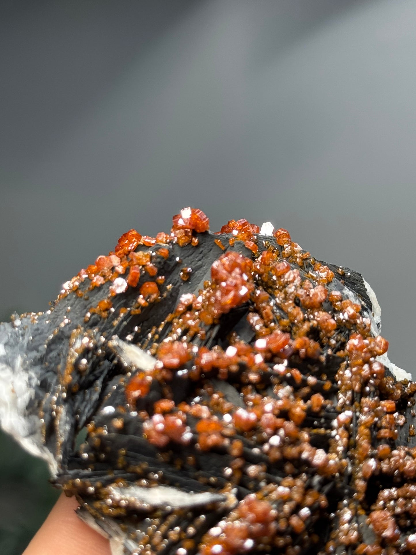 Vanadinite on black barite- Morocco