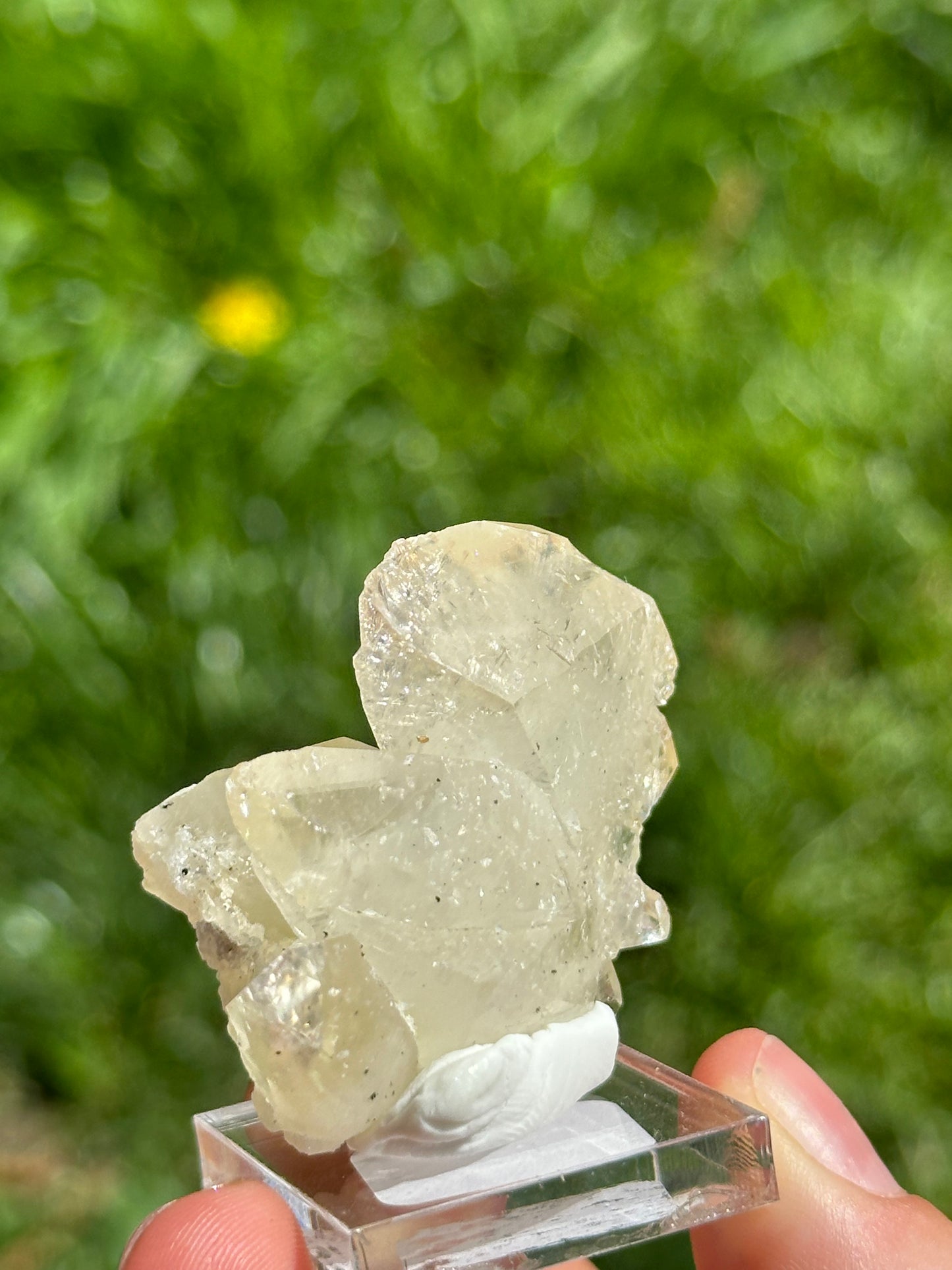 Elmwood calcite