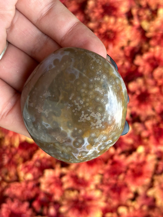 Ocean Jasper Palmstone- 8th Vein