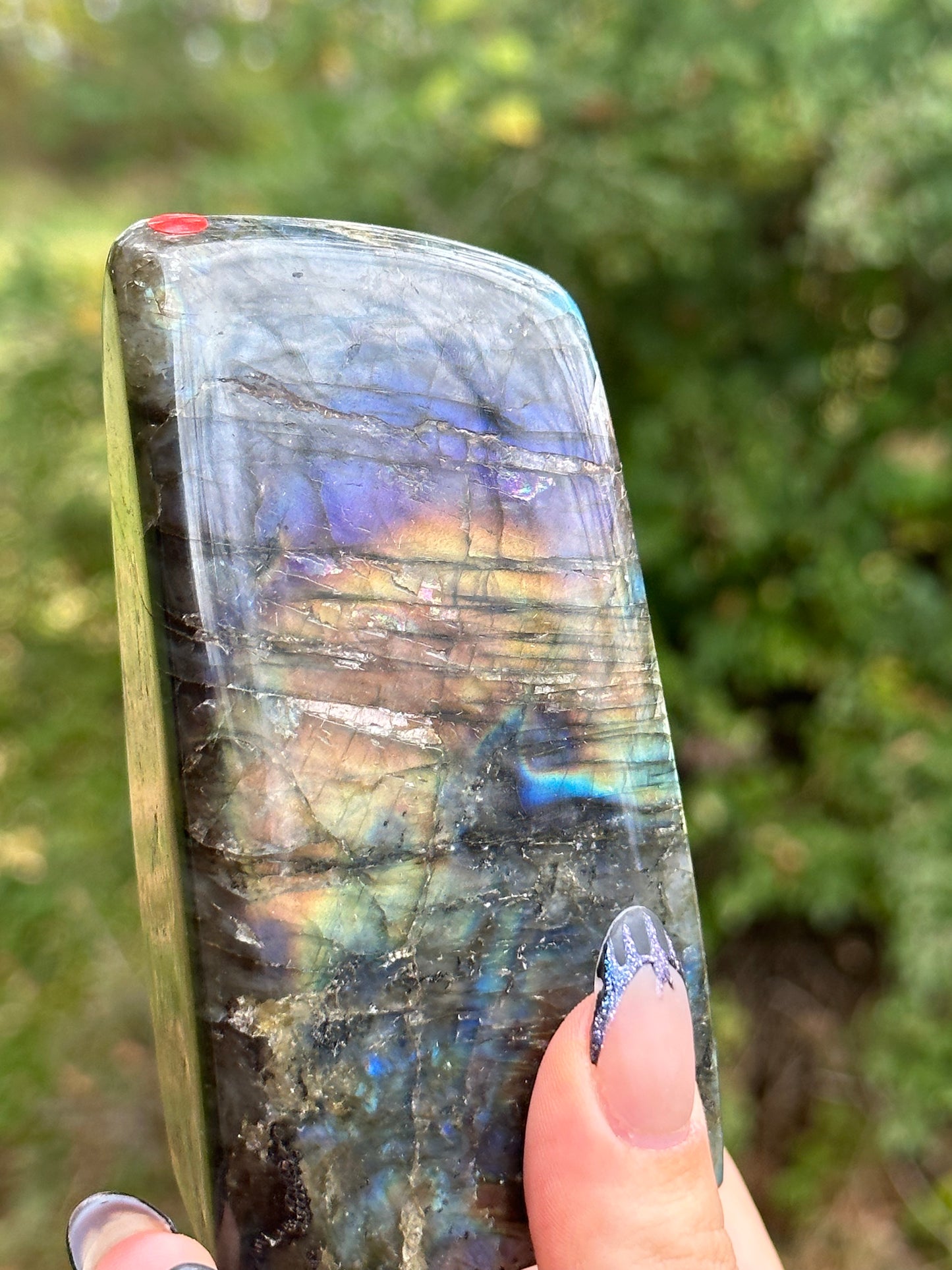 Labradorite Freeform