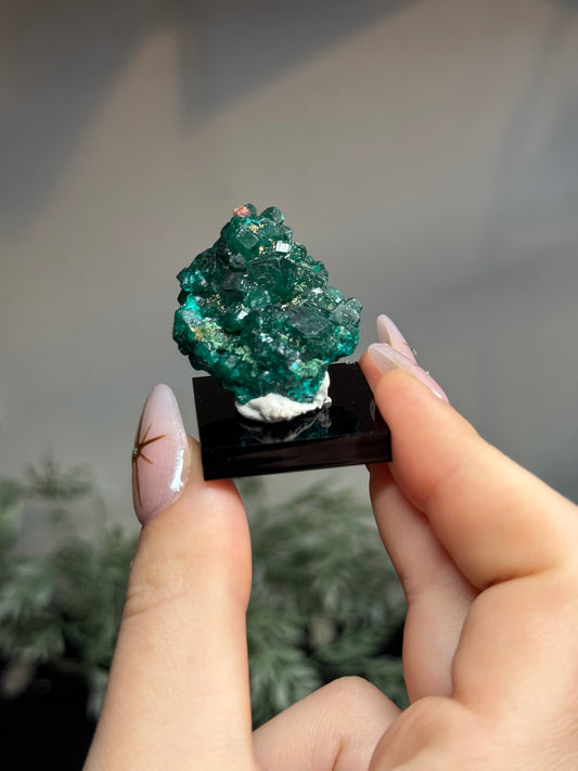 Dioptase