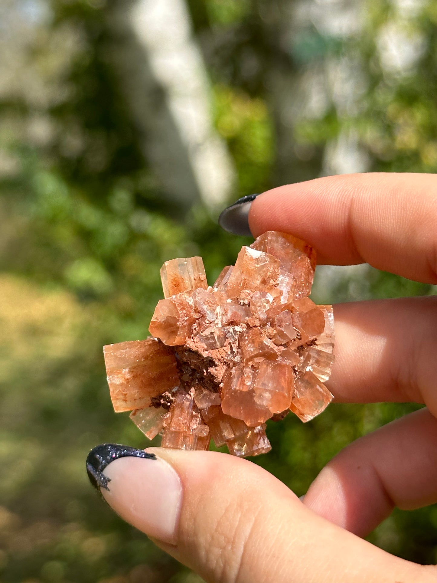 Aragonite