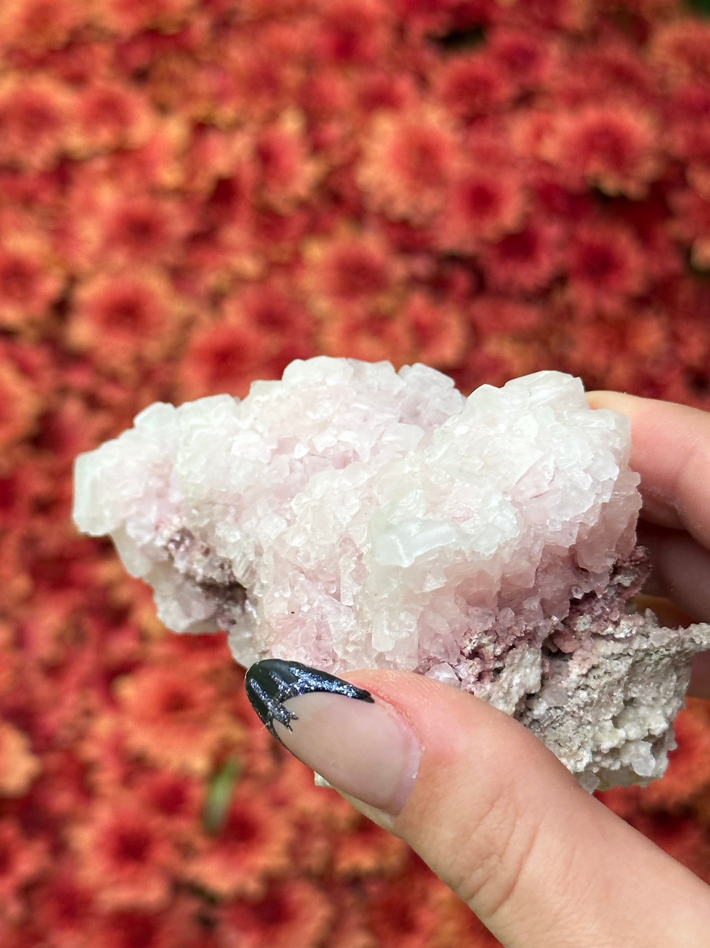 Pink Halite