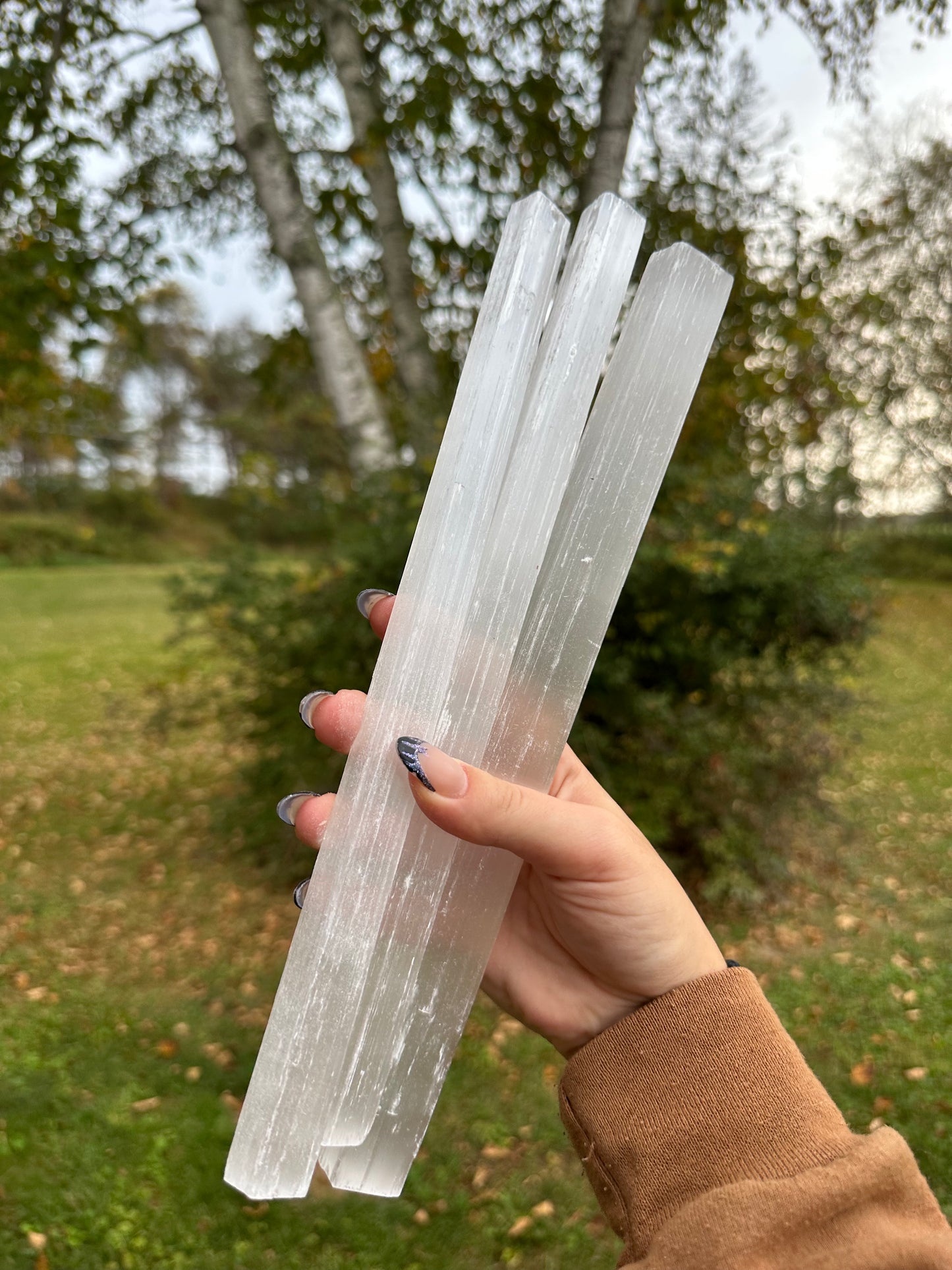 Large Satin Spar Selenite Sticks