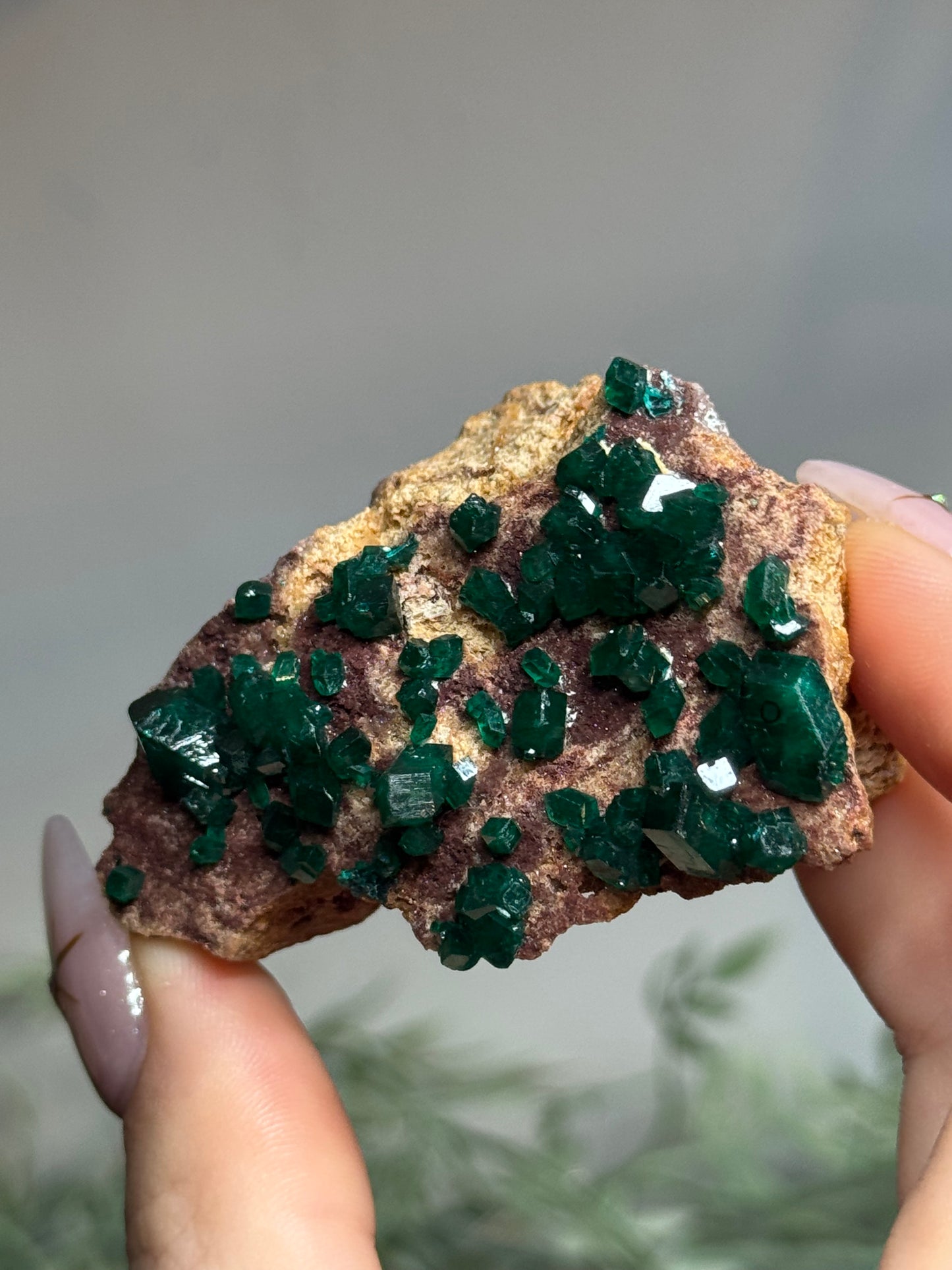 Dioptase