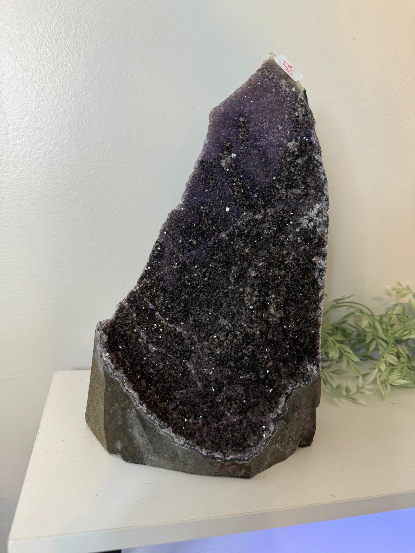 devil_nurse_ink_studio