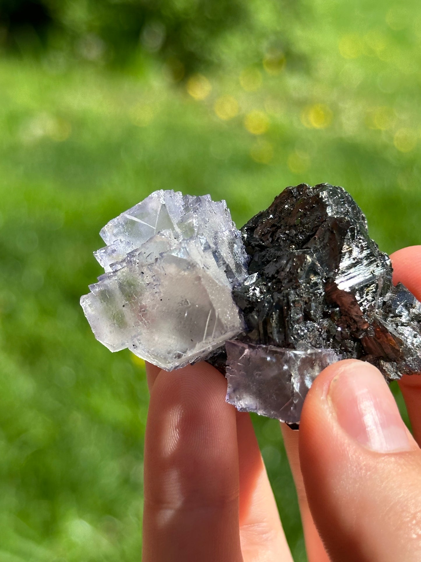 Elmwood fluorite on sphalerite