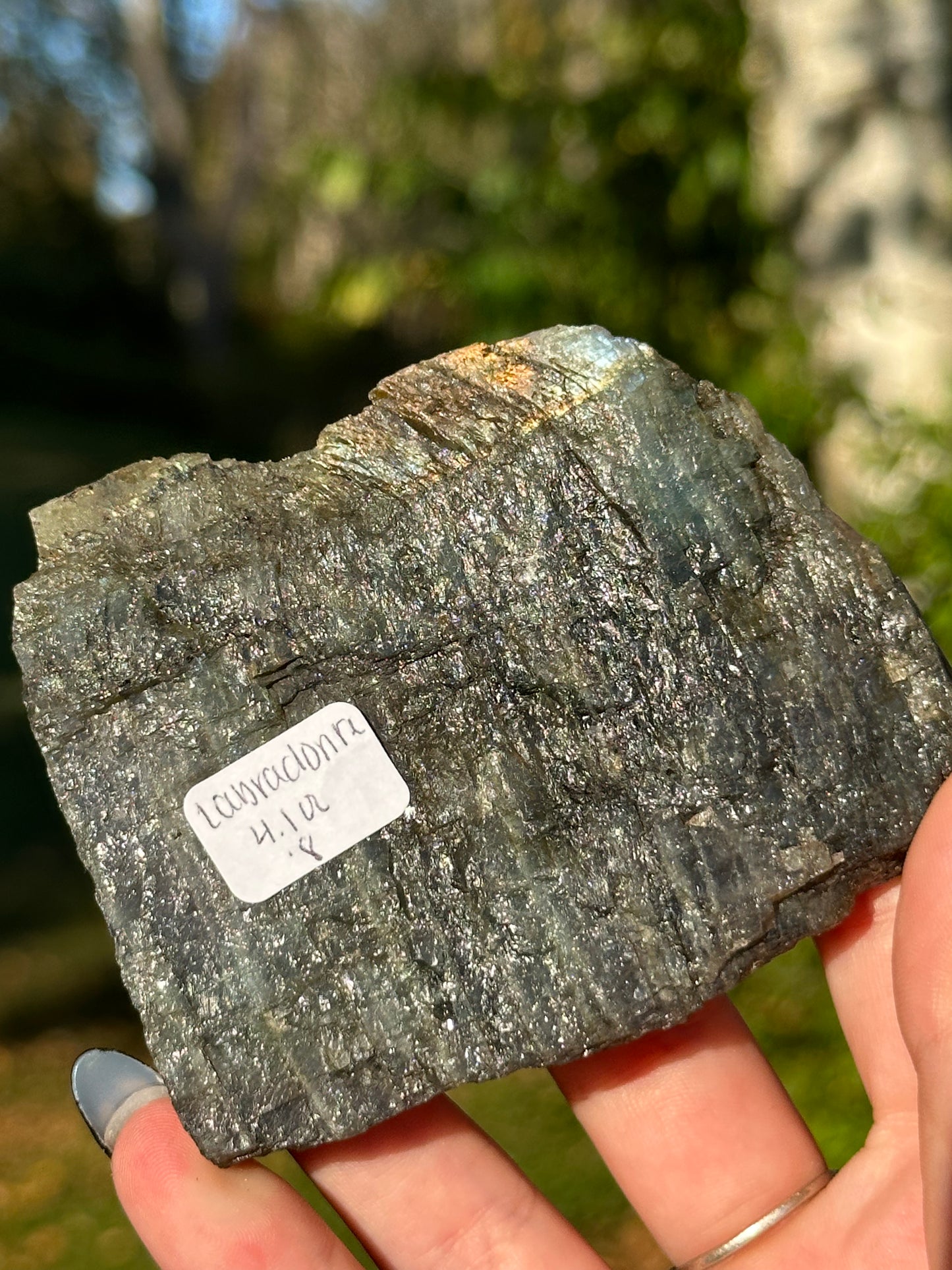 Labradorite One Side Polished Slab