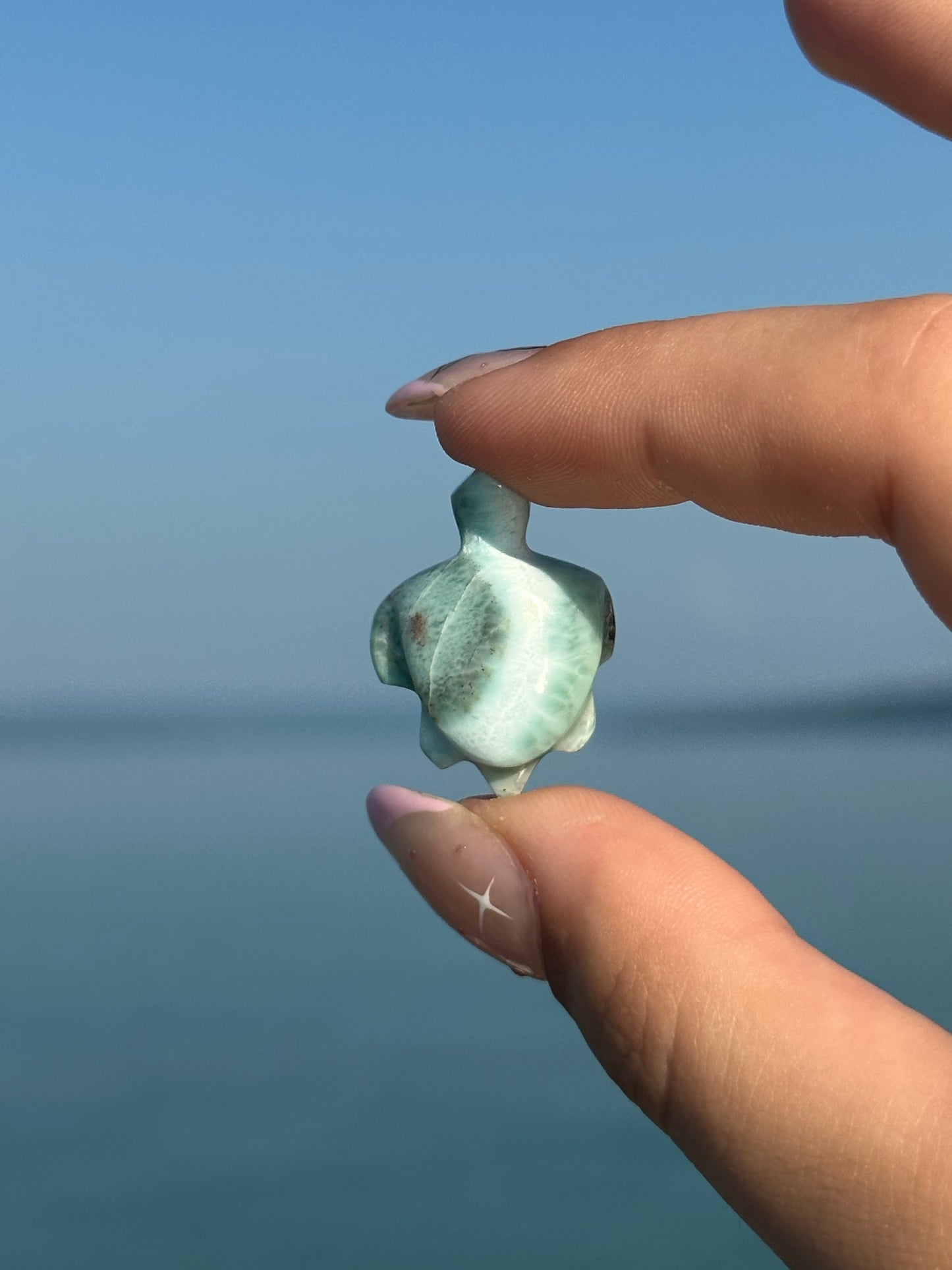 Larimar turtle
