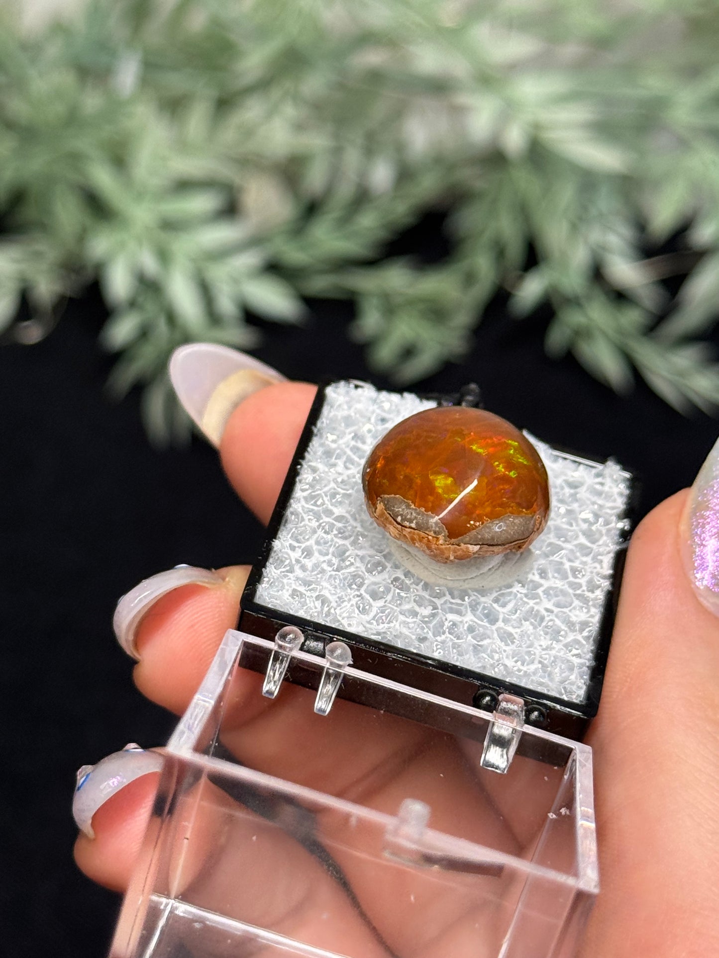 Chocolate fire opal