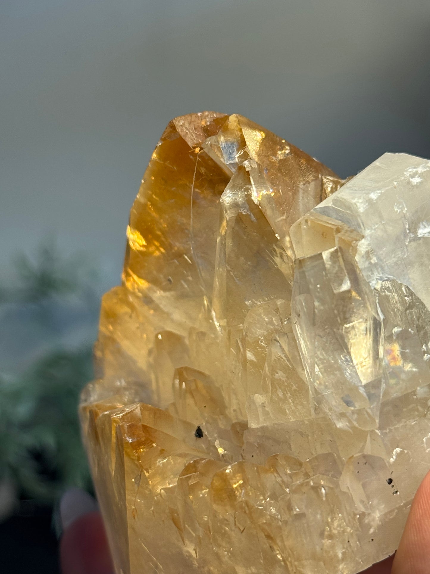 Elmwood calcite