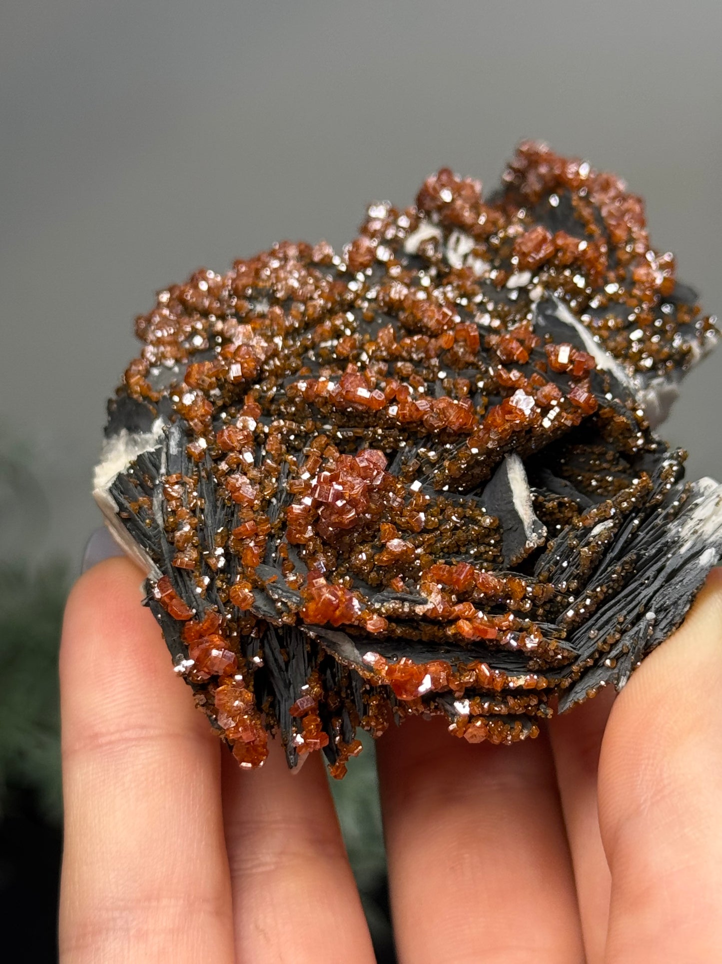 Vanadinite on black barite- Morocco