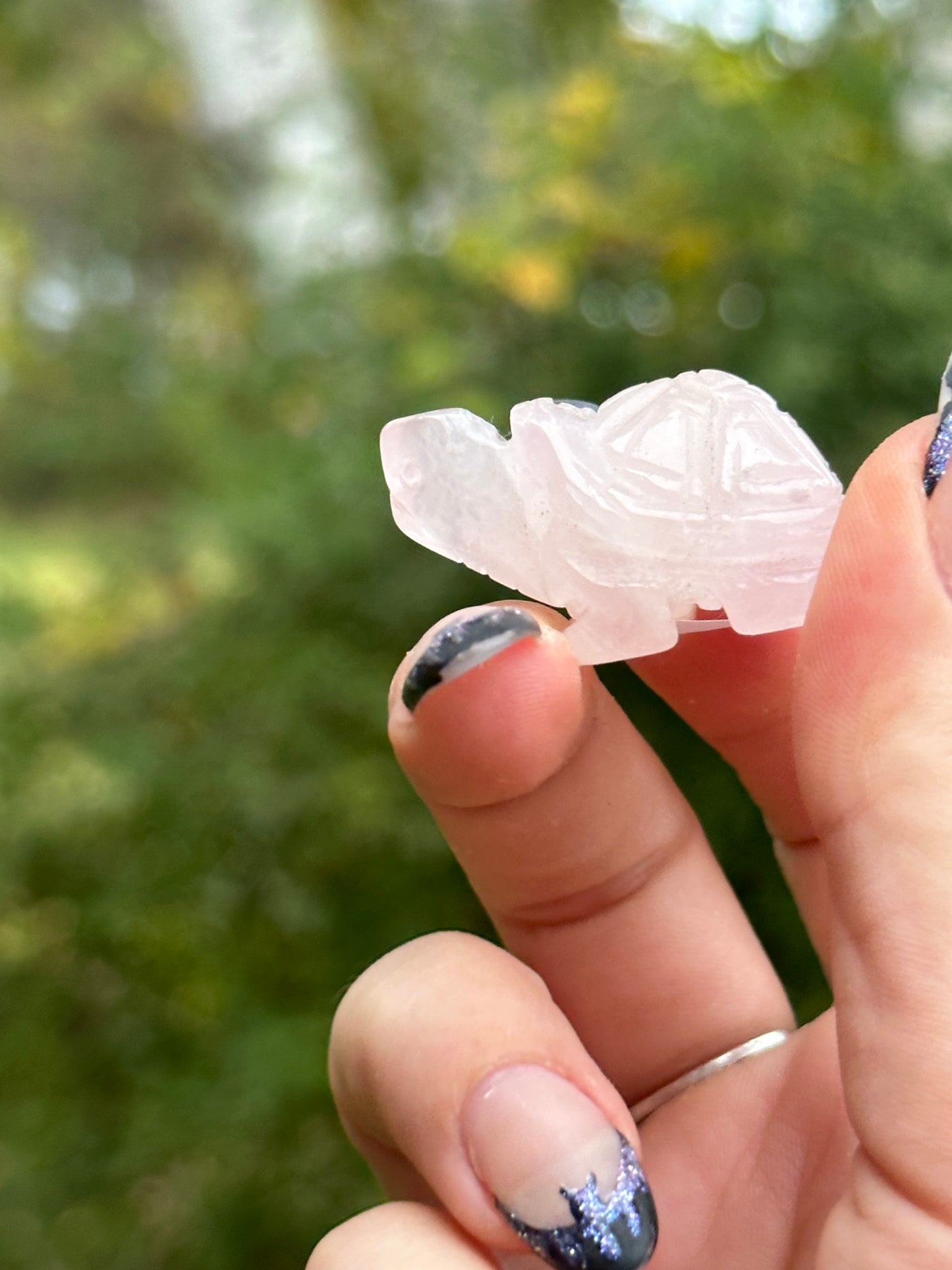 Rose Quartz Mini Turtle