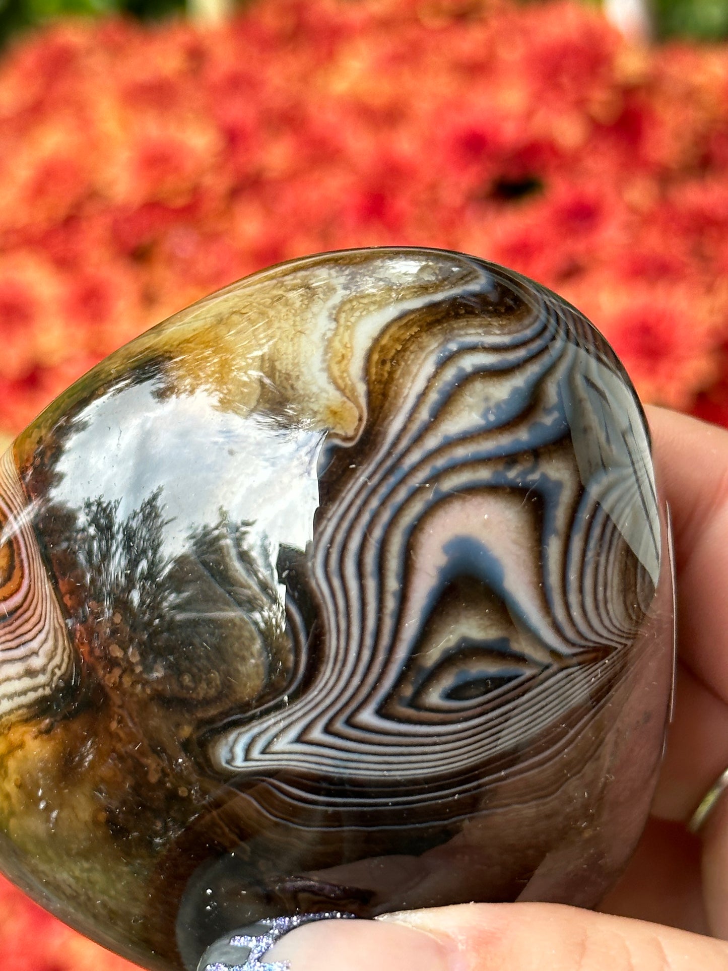 Sardonyx Palmstone