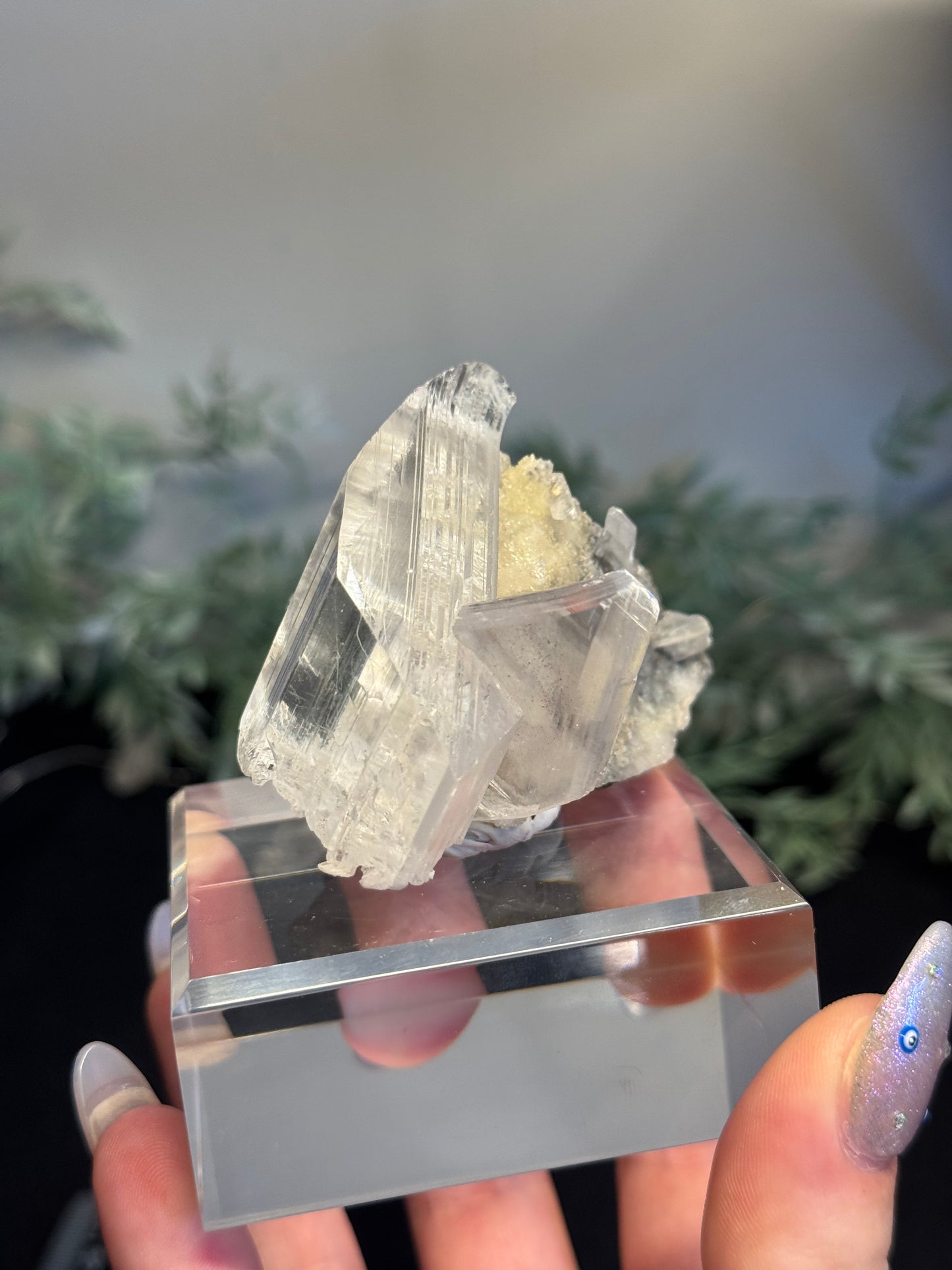 Niaca Selenite