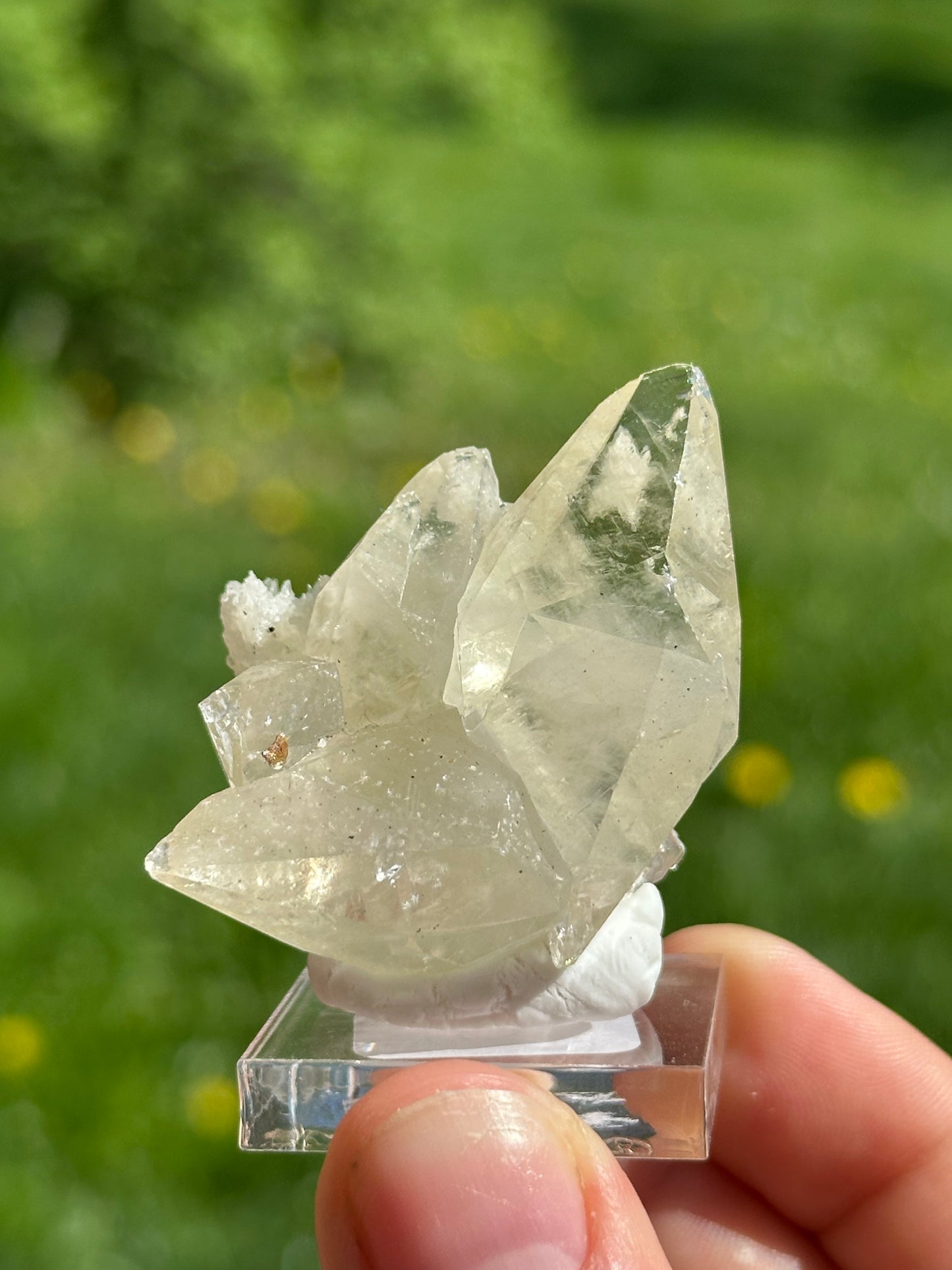 Elmwood calcite