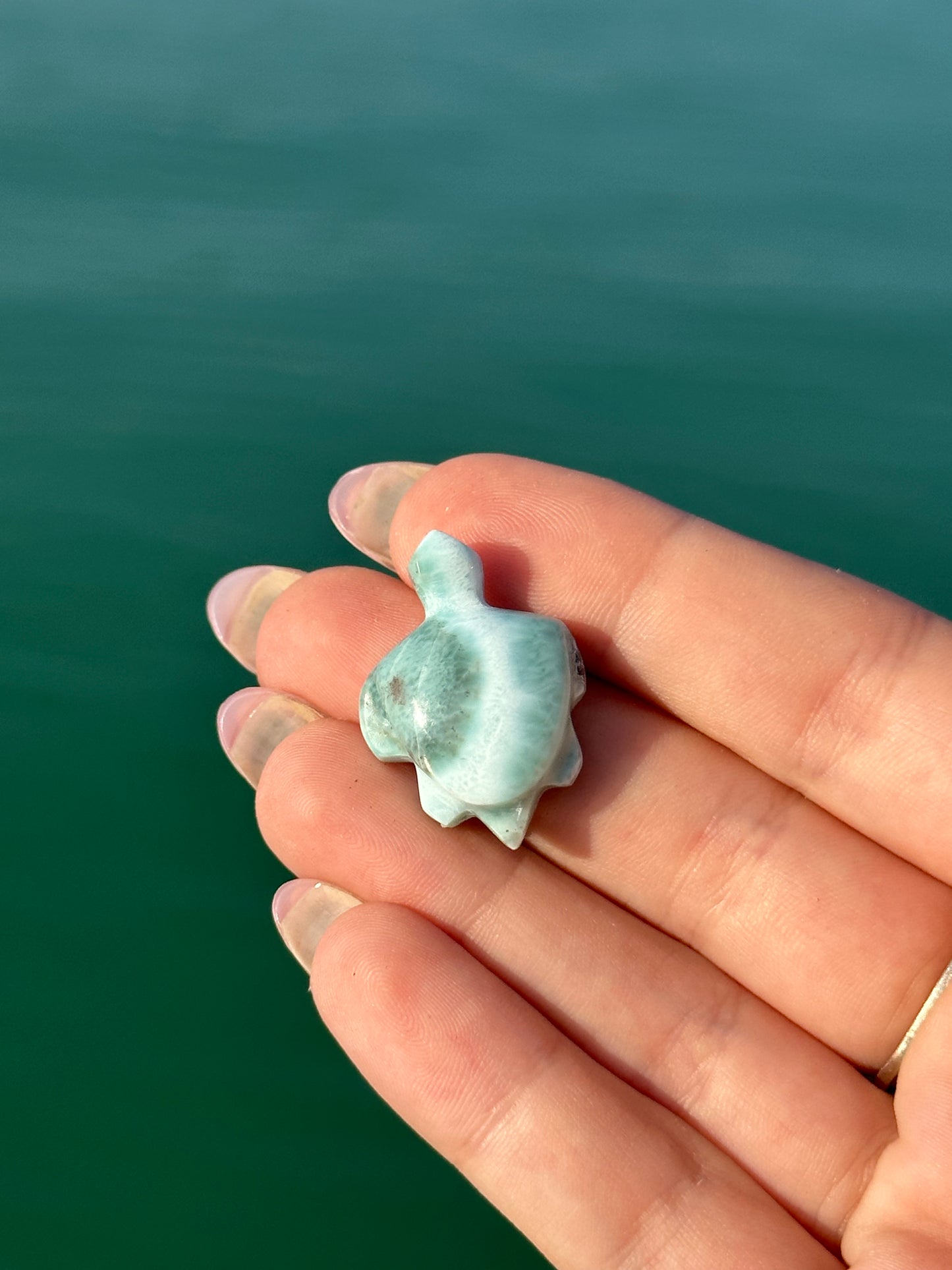 Larimar turtle