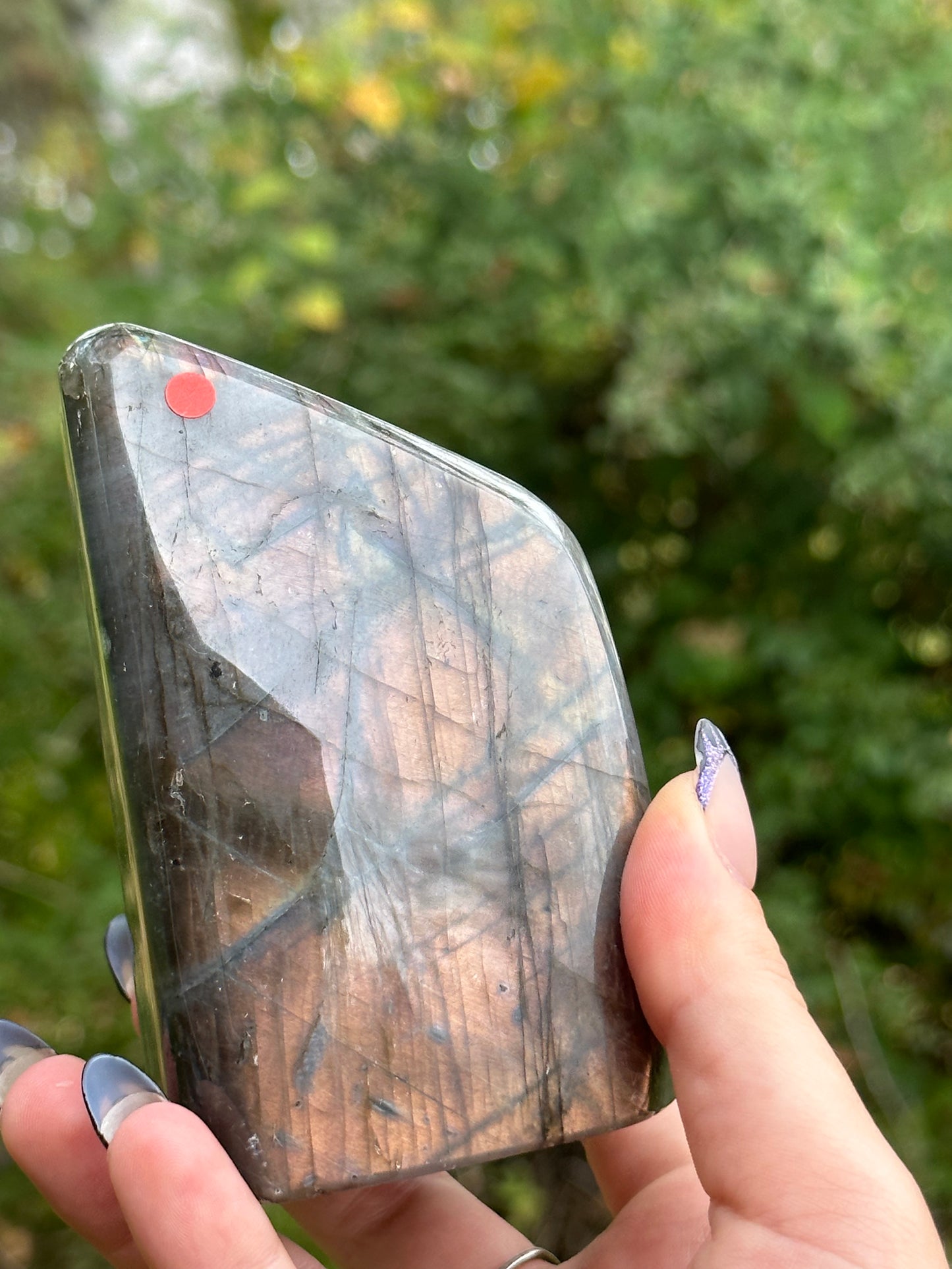 Labradorite Freeform