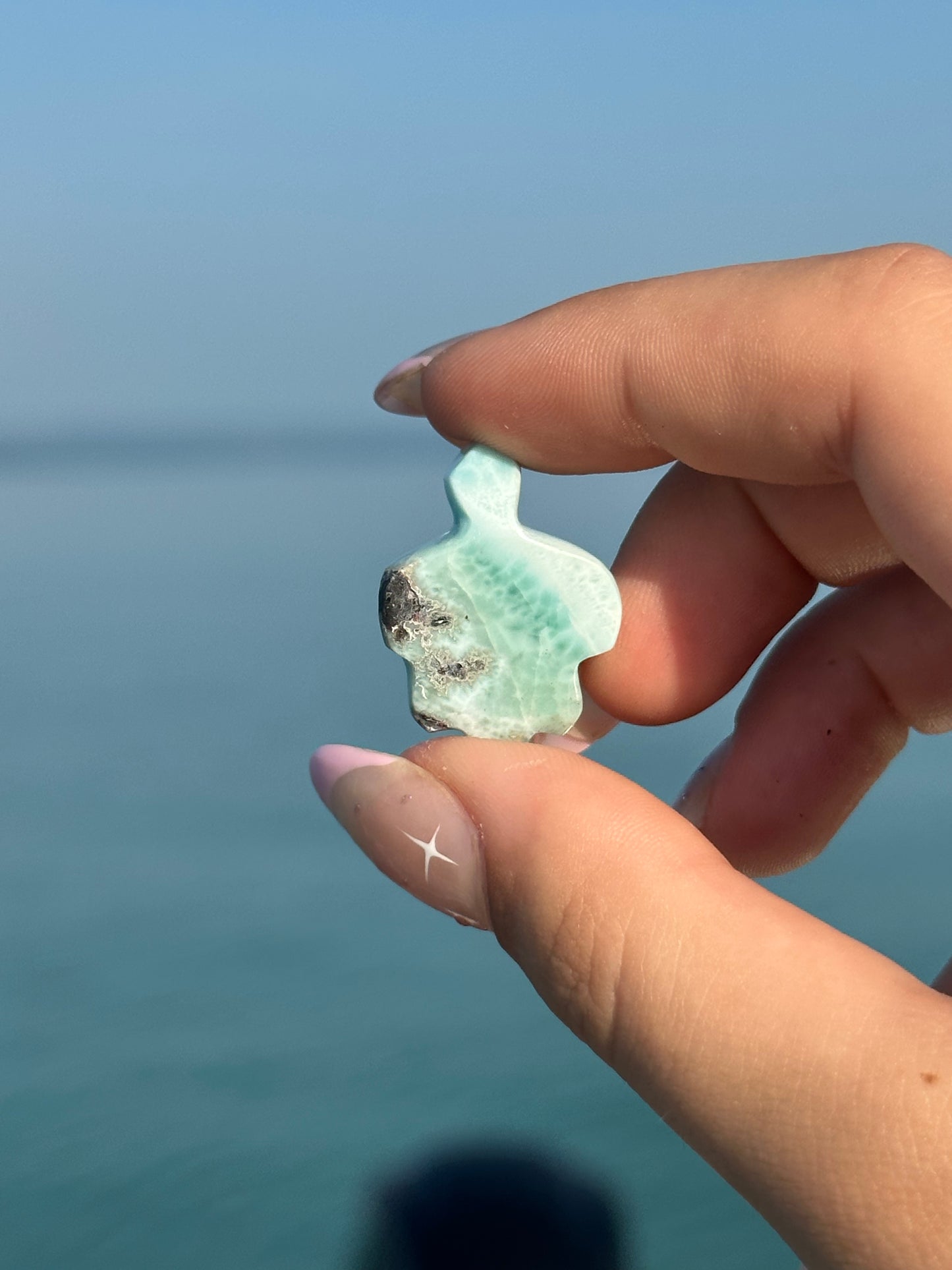 Larimar turtle