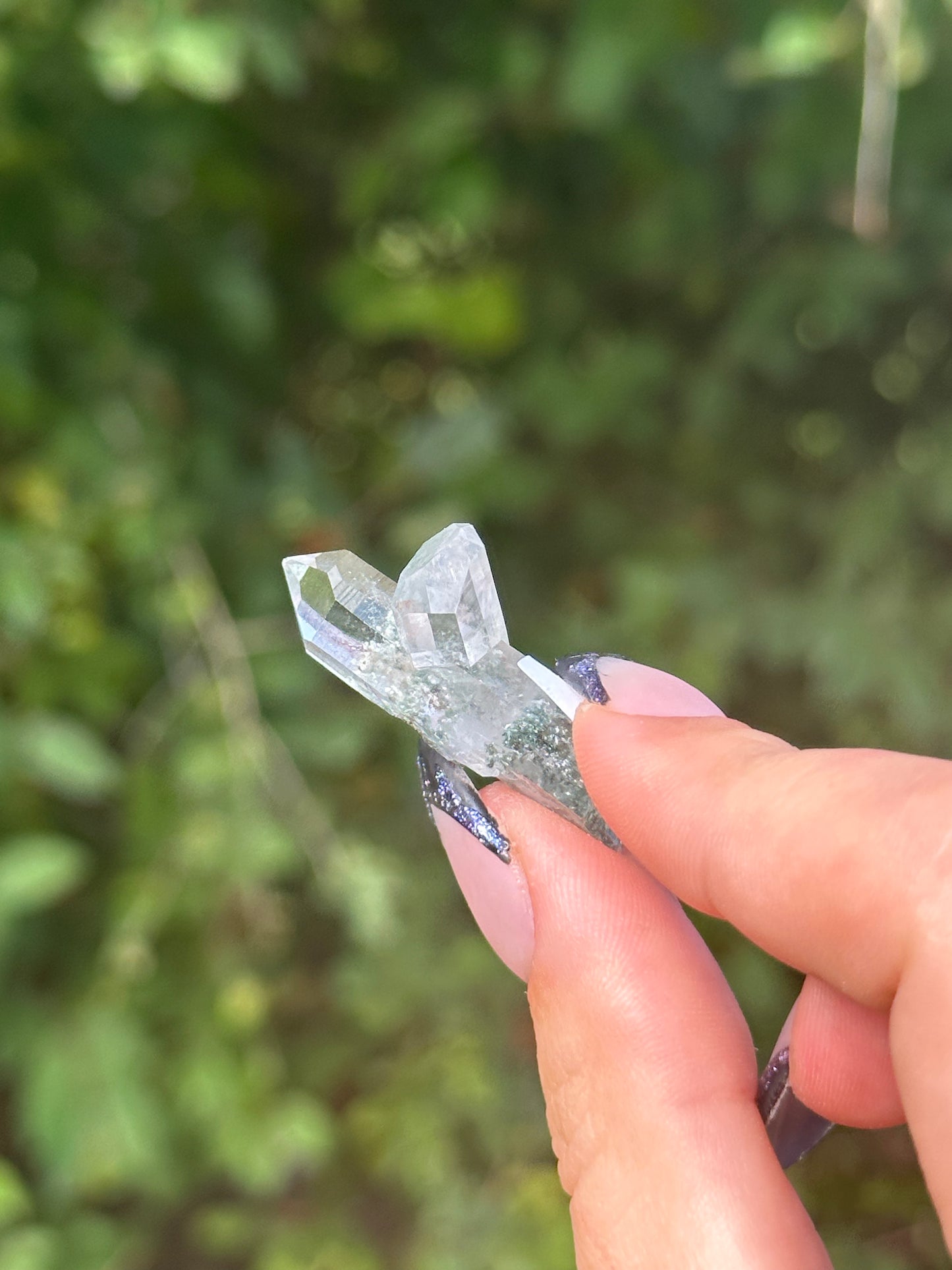 Quartz with Chlorite