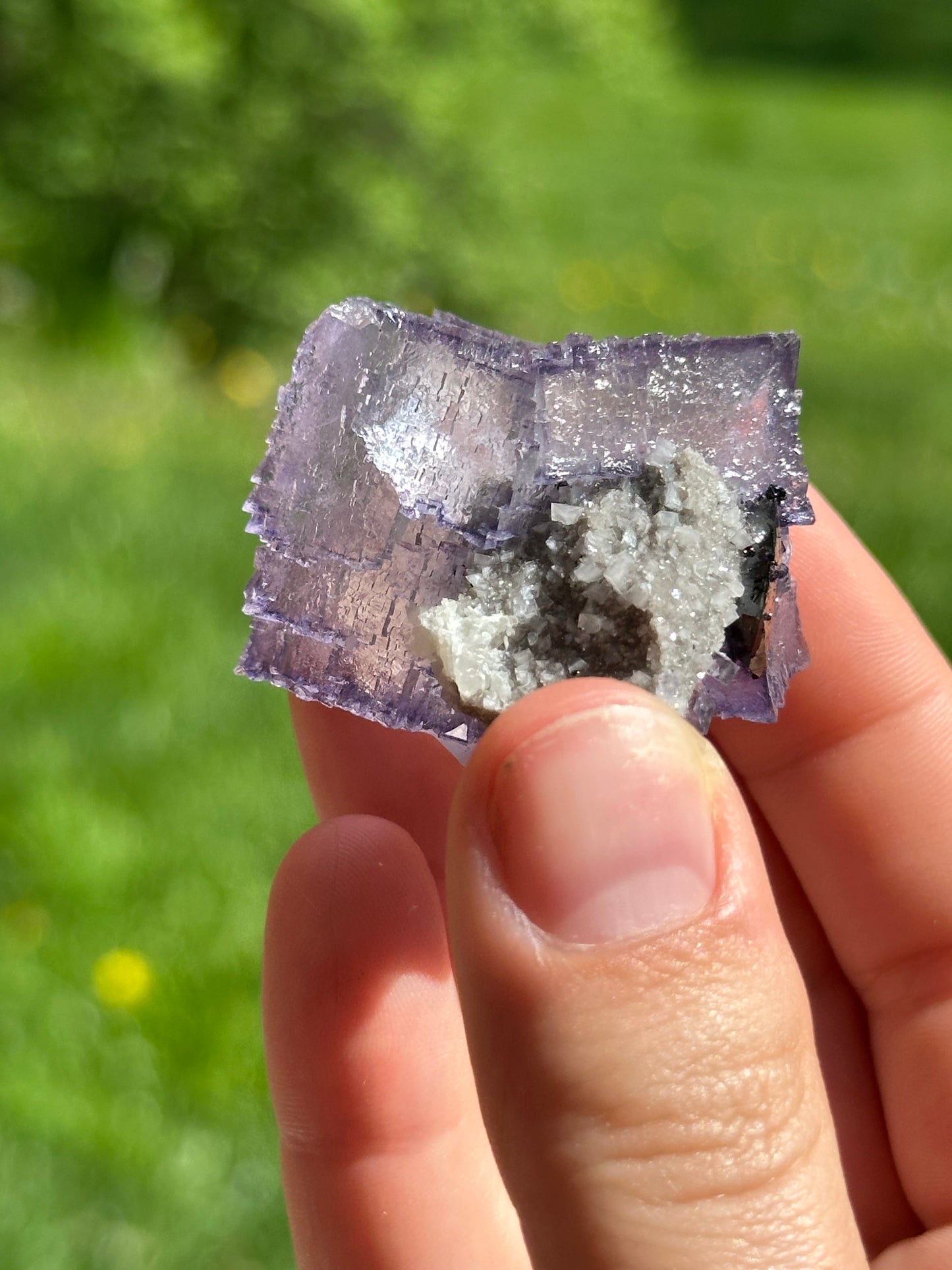 Elmwood fluorite with dolomite and sphalerite