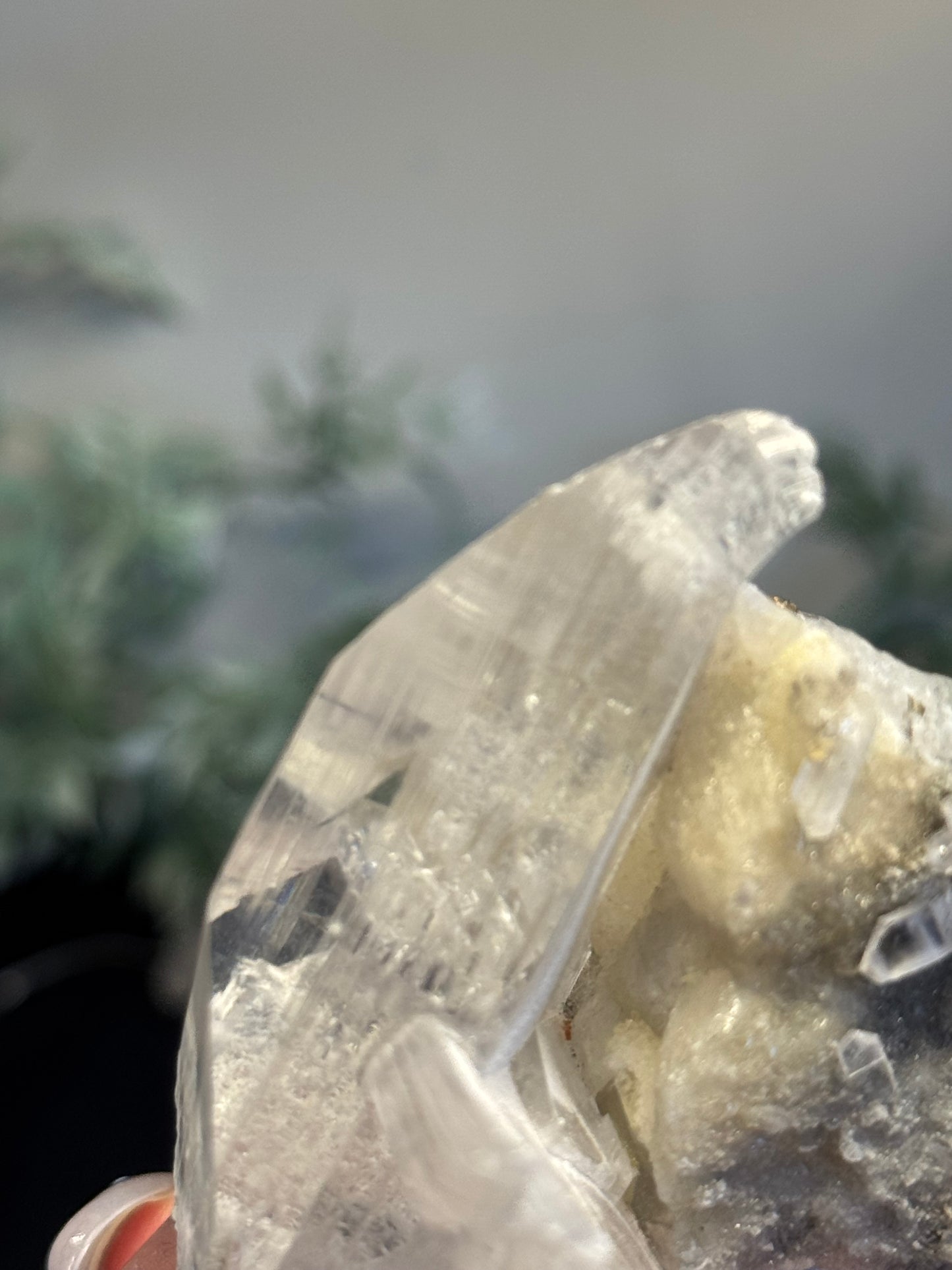 Niaca Selenite