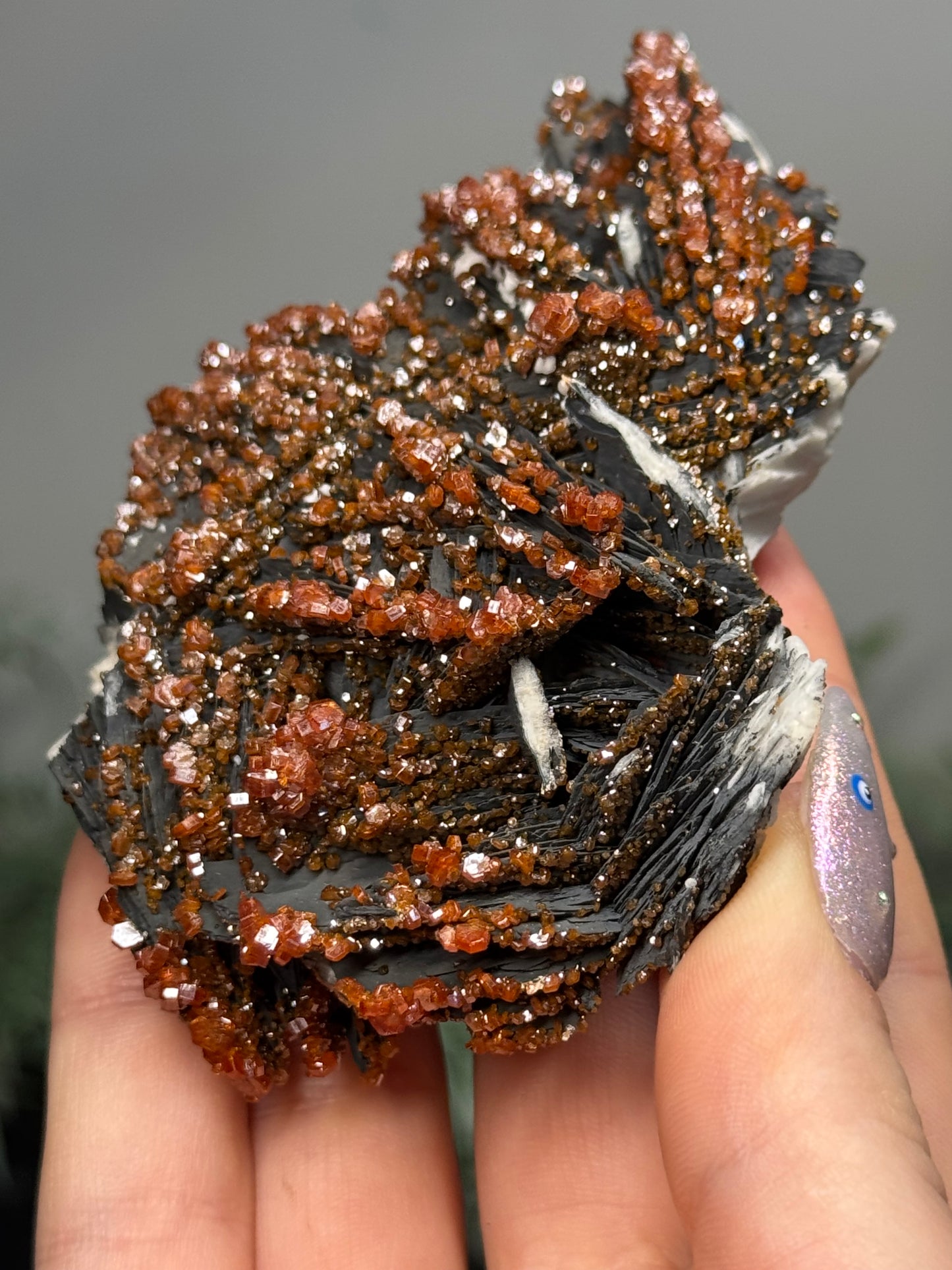 Vanadinite on black barite- Morocco