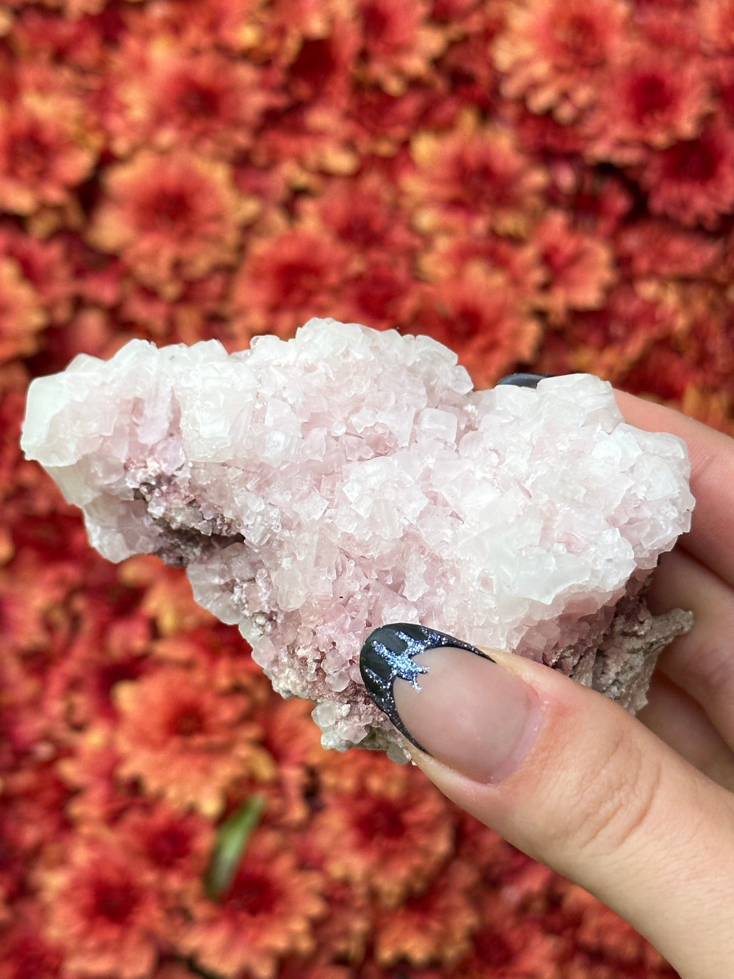 Pink Halite