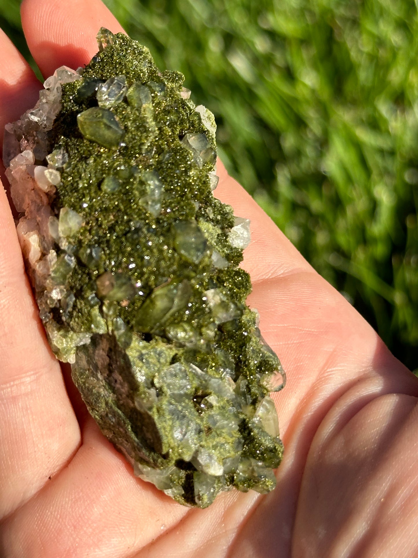 Forest Epidote