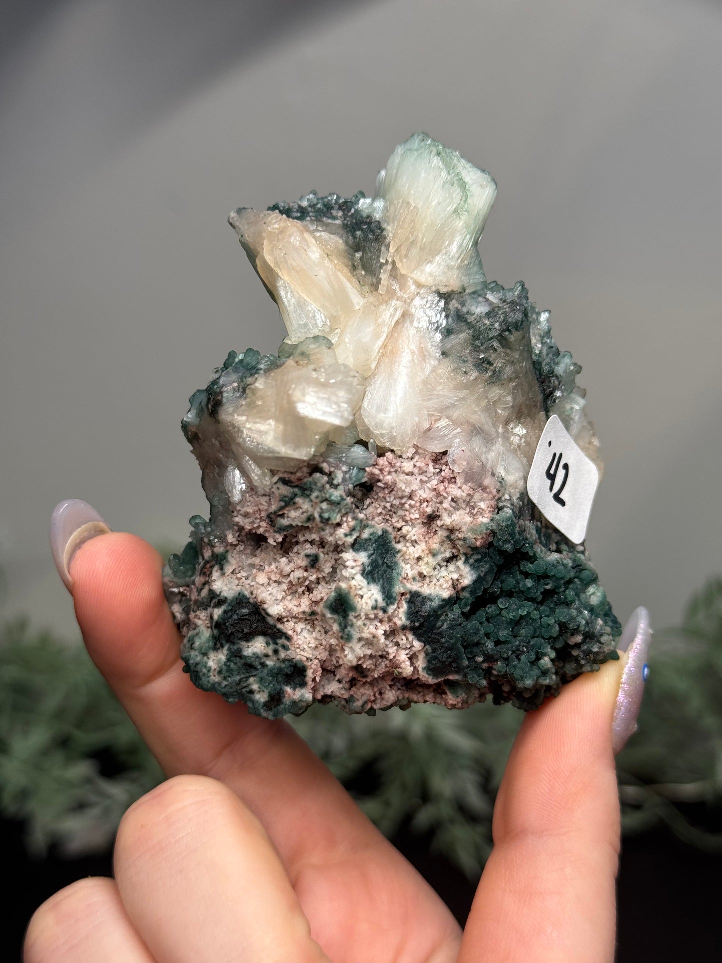 Celadonite, Stilbite, Chalcedony - India