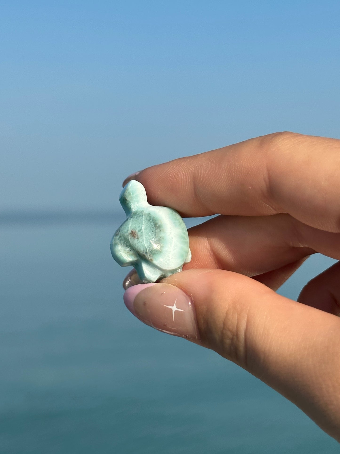 Larimar turtle