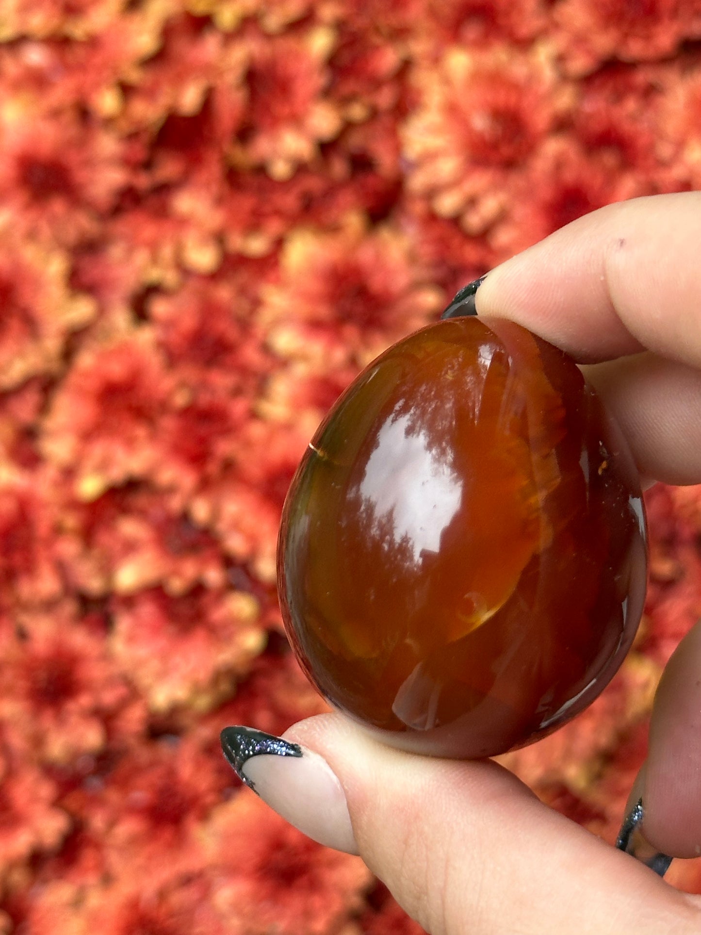 Carnelian Egg