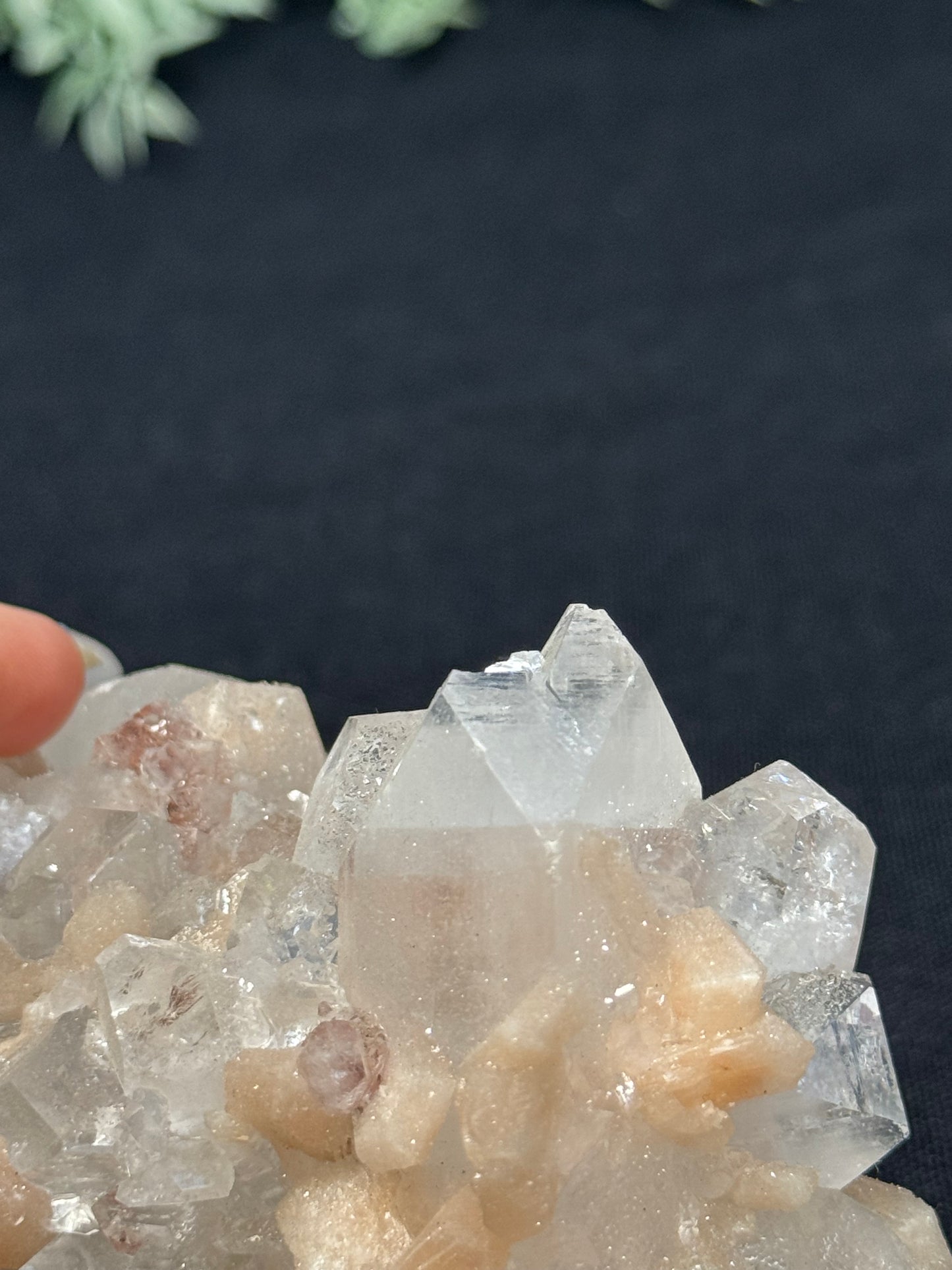 Sugary diamond Apophyllite with peach Stilbite - India